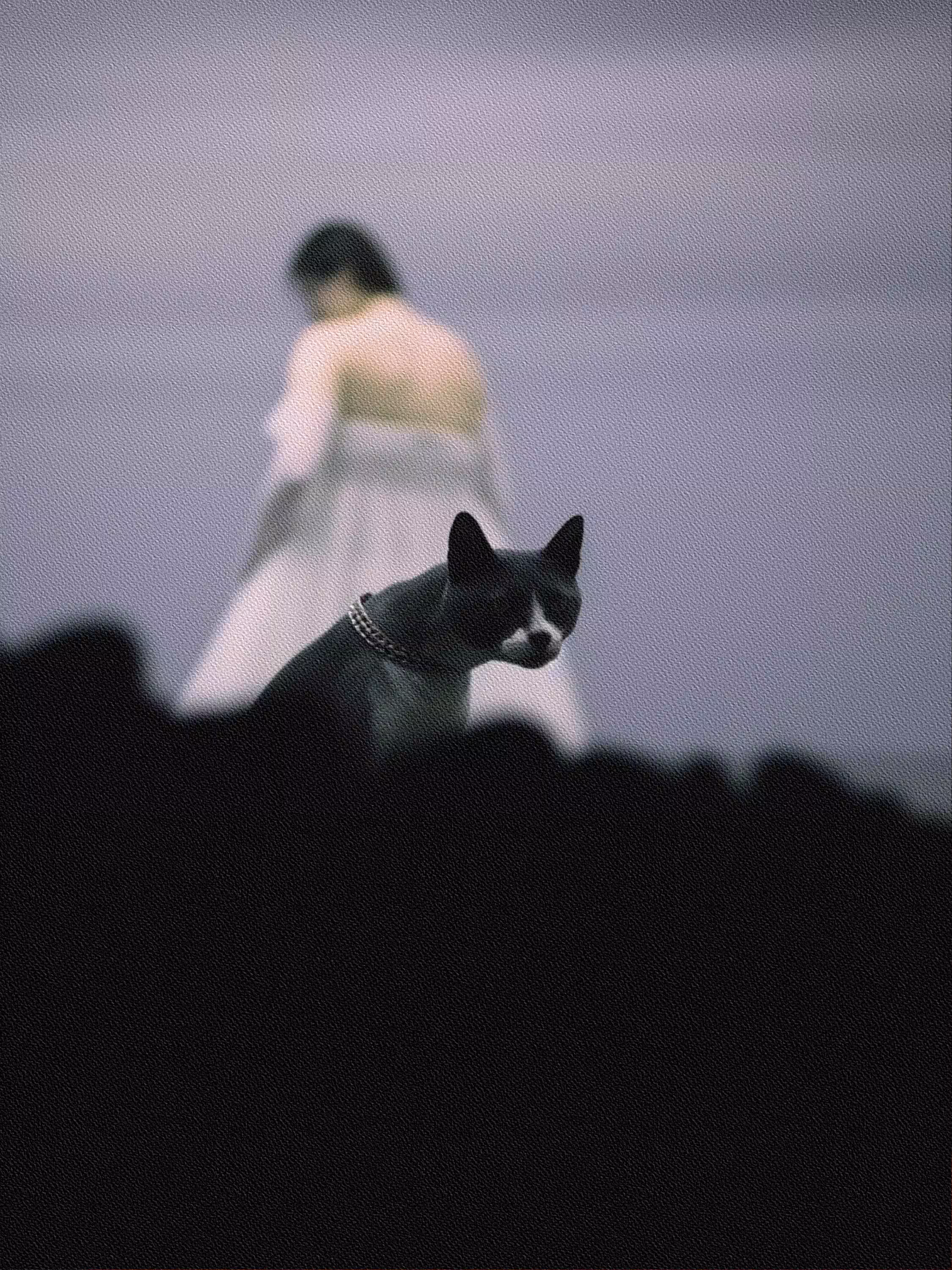 Post Photographic Perspectives: Taming the Machine: Olga Fedorova - Untitled #35