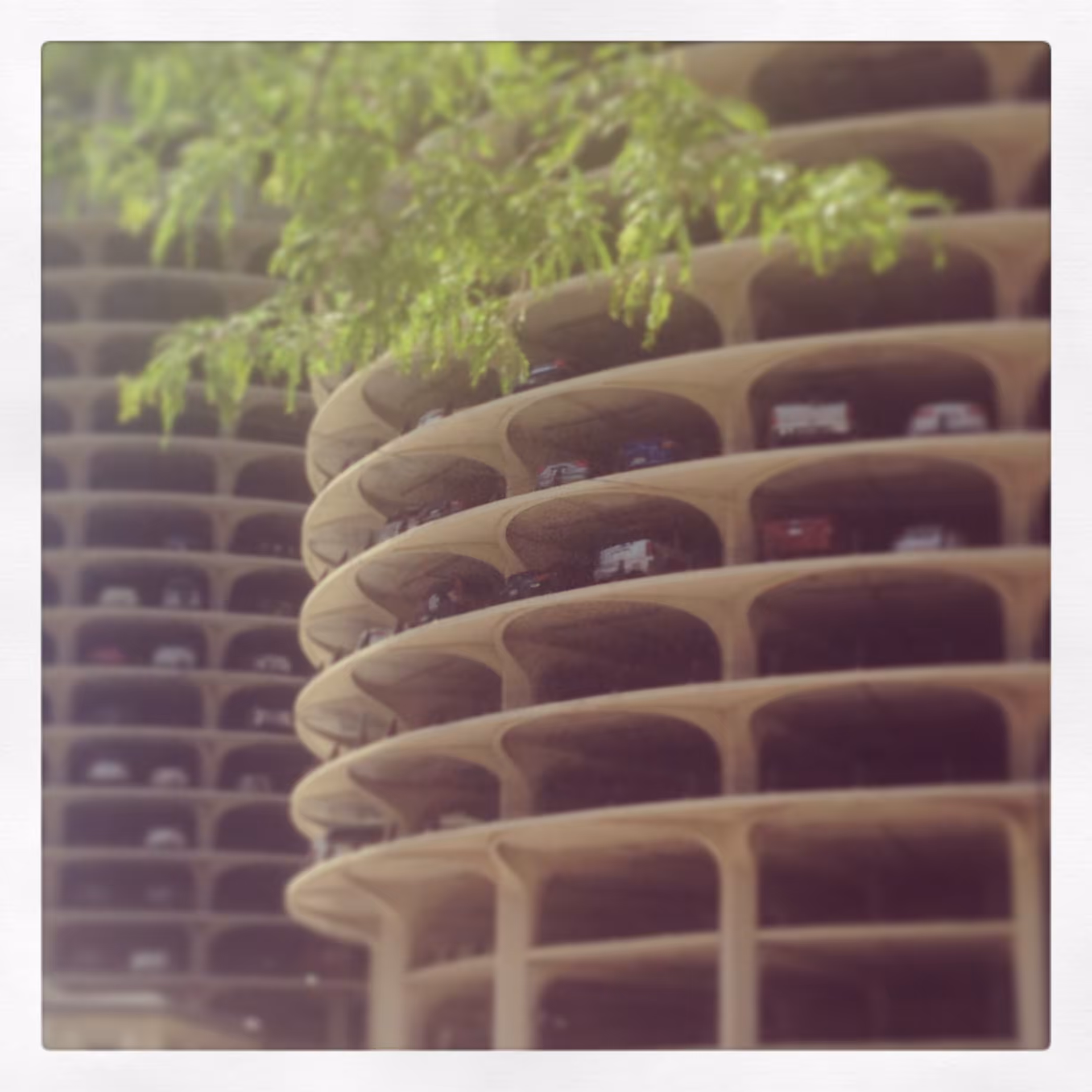 towers
