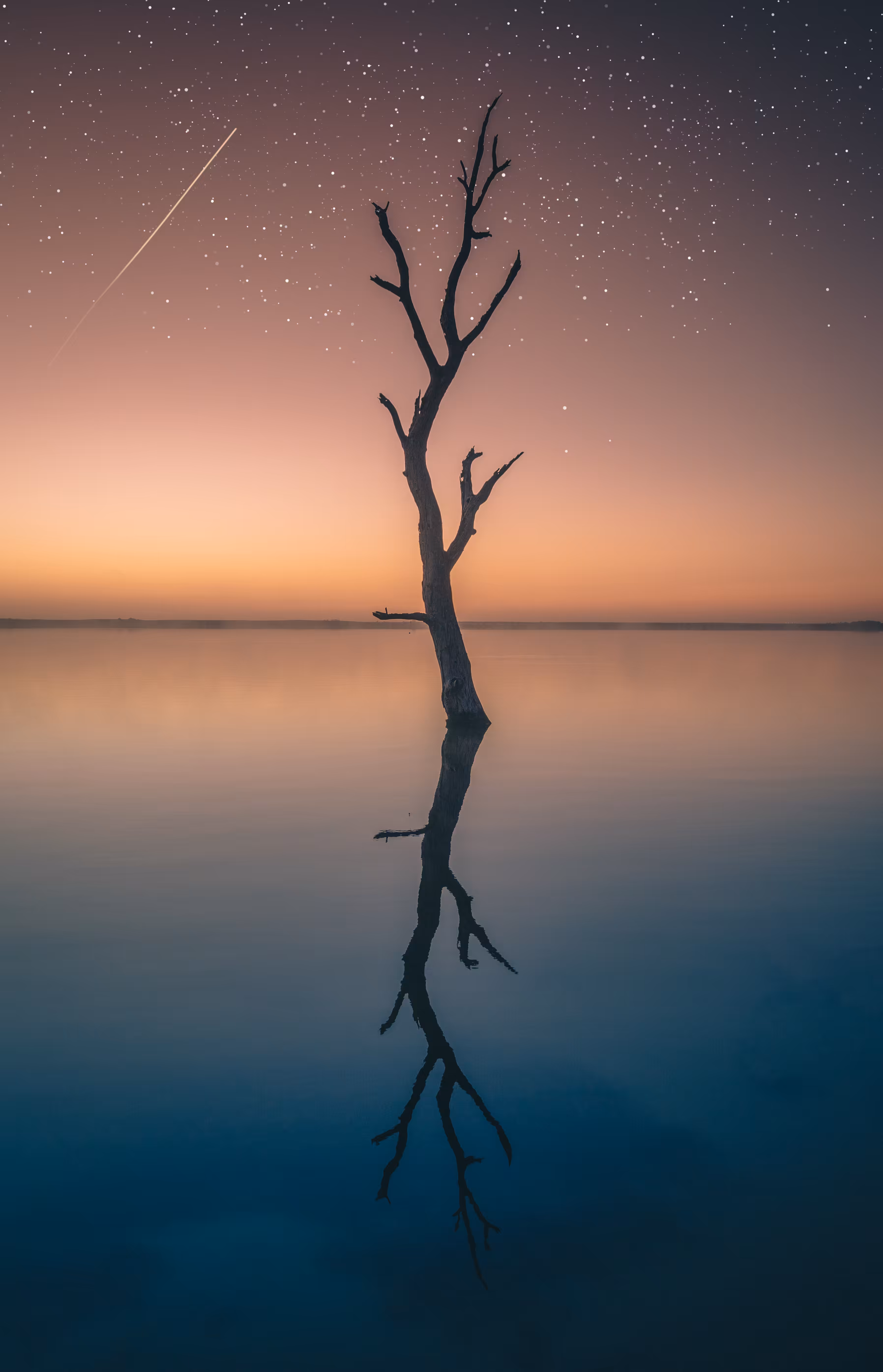 Serenity