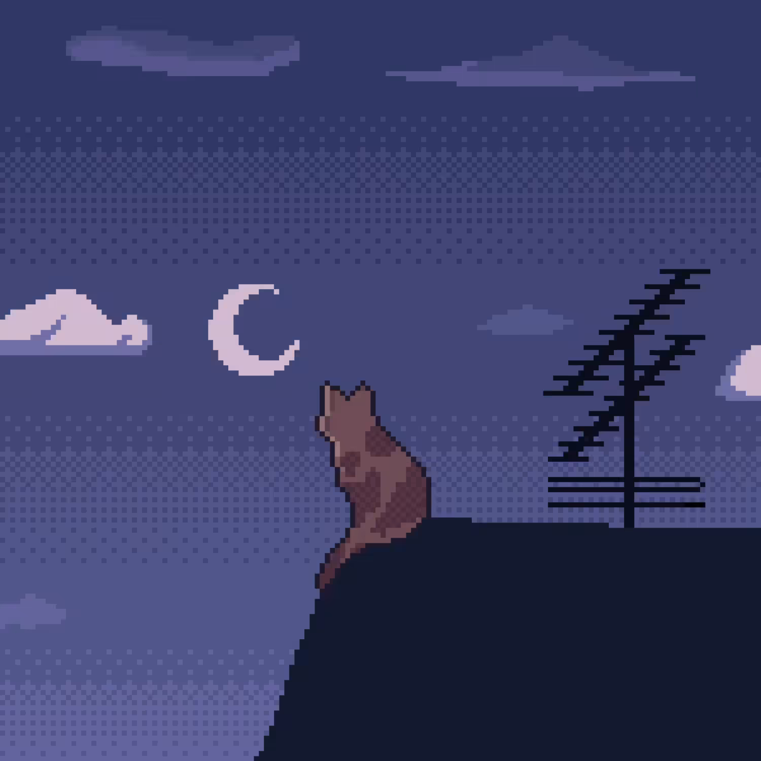 Calm Night