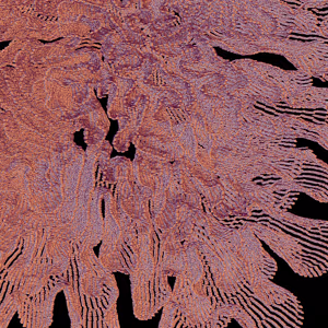 Rodeo posts: CP Untitled54 Fragment