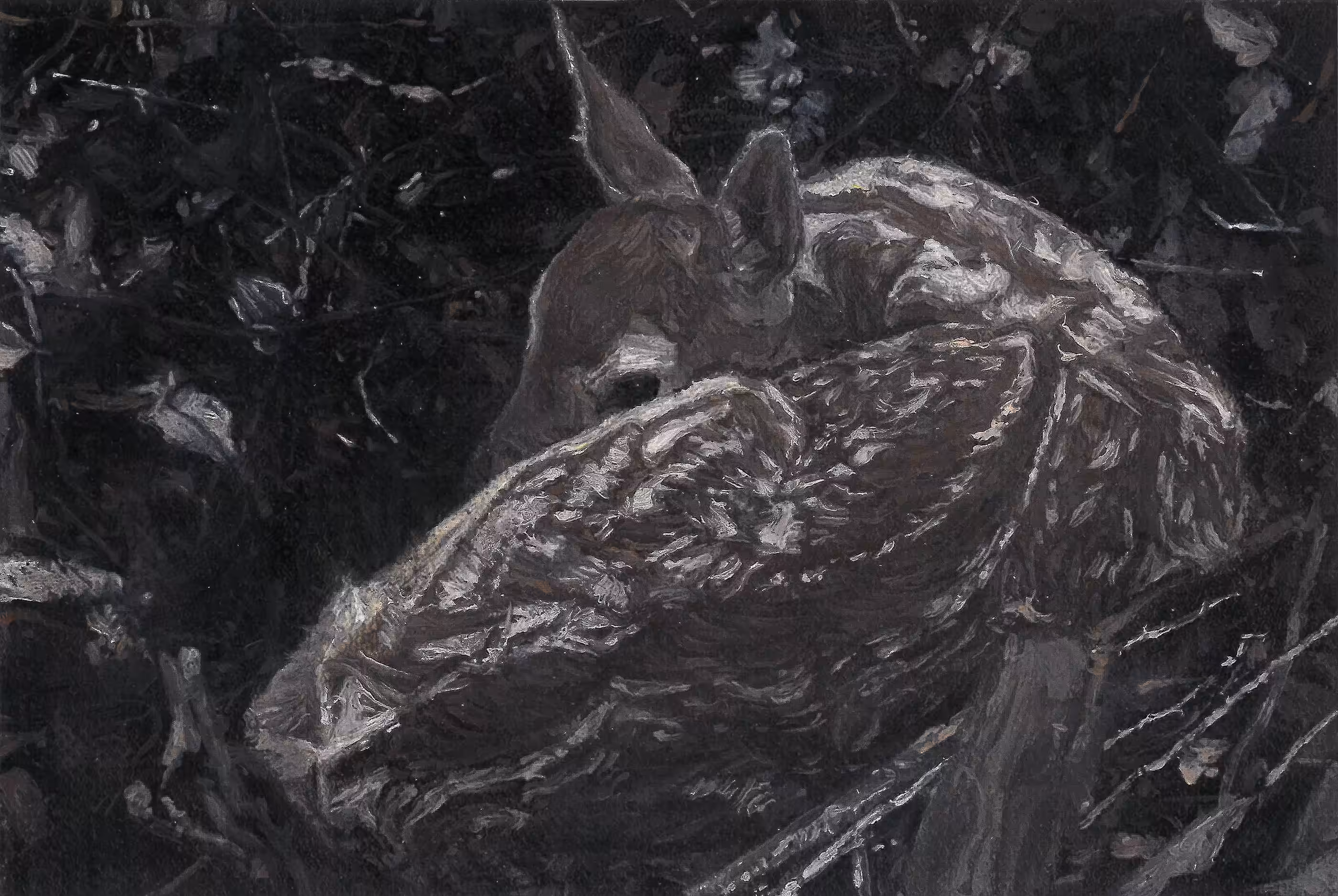 Etude of a Fawn
