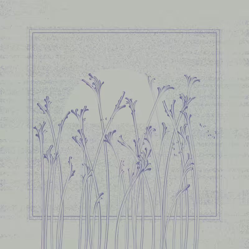 string_pllu #12