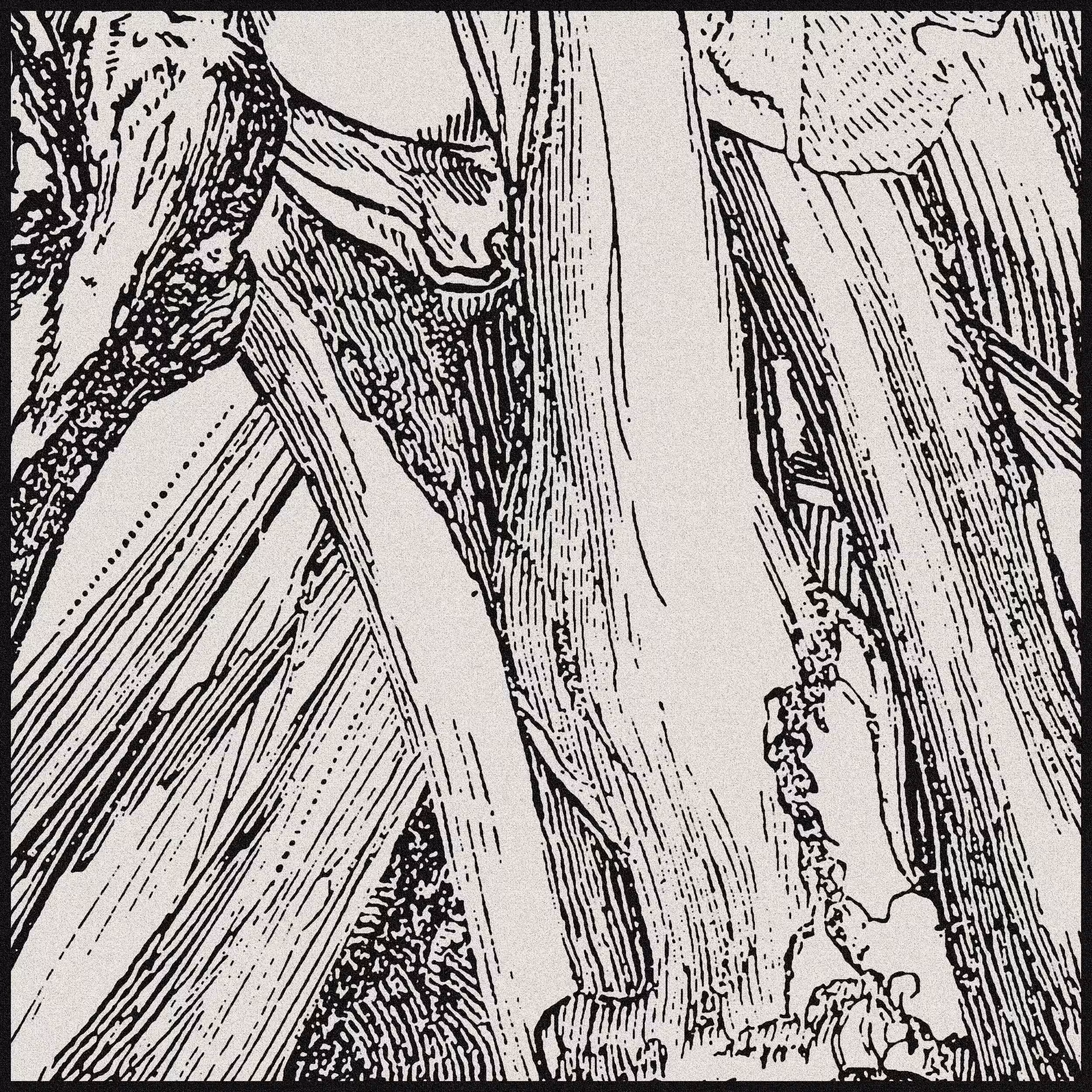 Diagenesis [6/12]