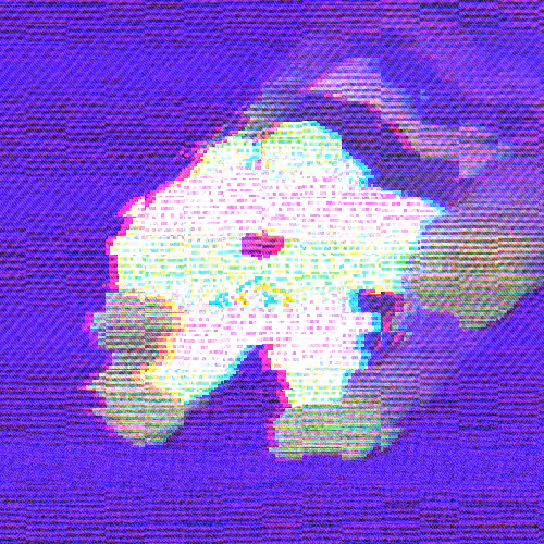 fren 58