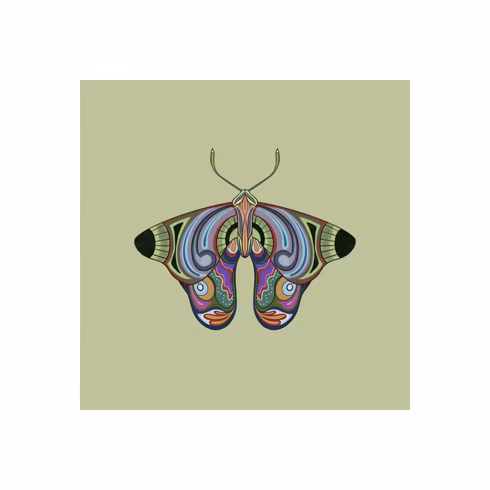 The Moth Experiment  #13