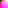 Flowers - Peony