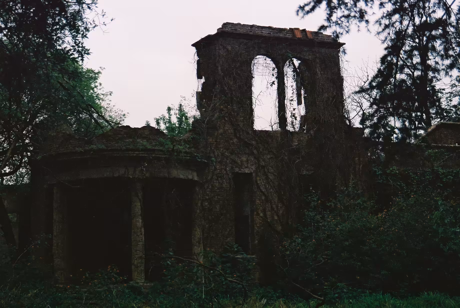 Una historia de abandono