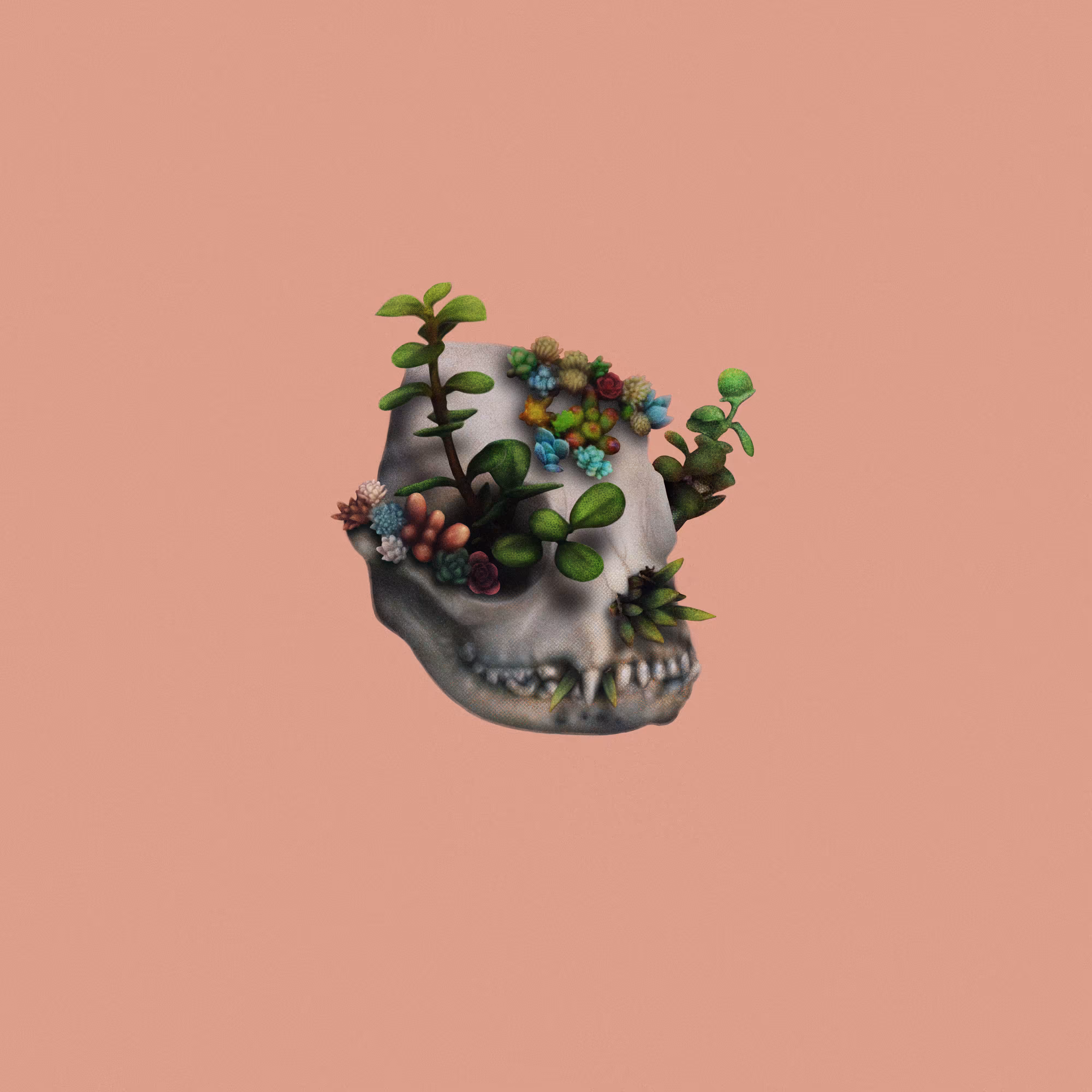 Doom & Bloom I - Tenth Life