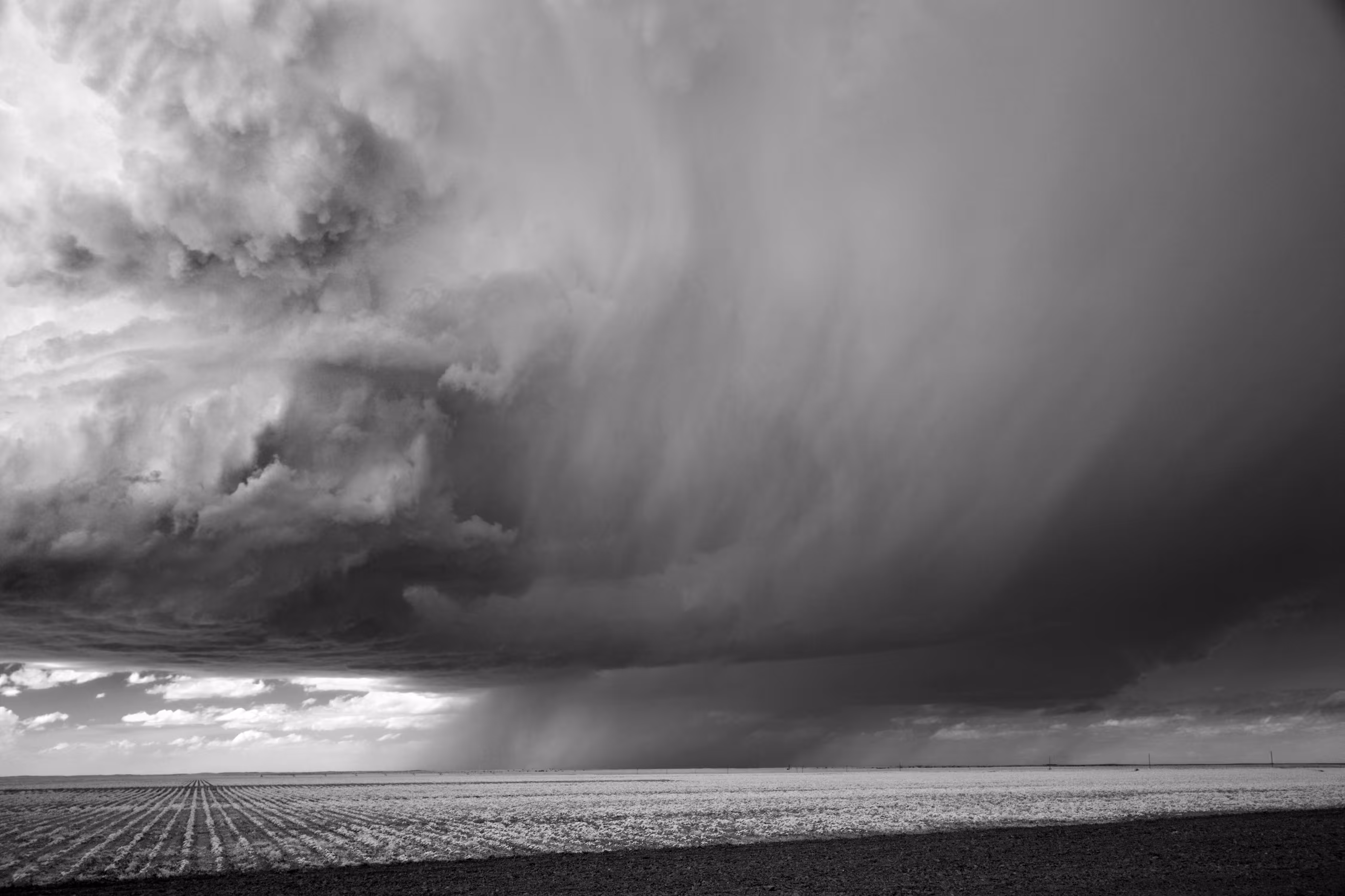 Storms - Rains in Field