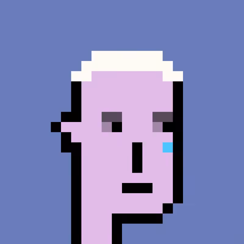 Basic Punks #13