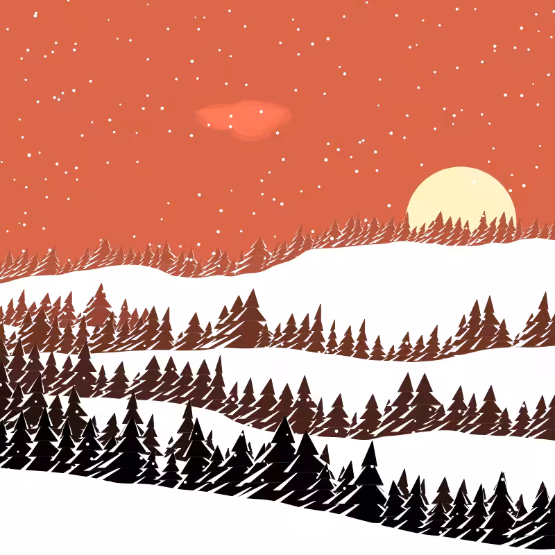 Winterland #41