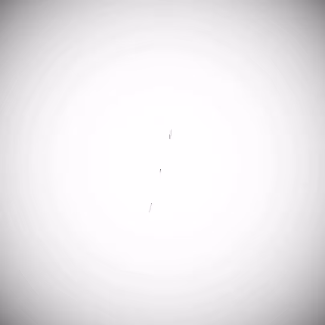 REZ008