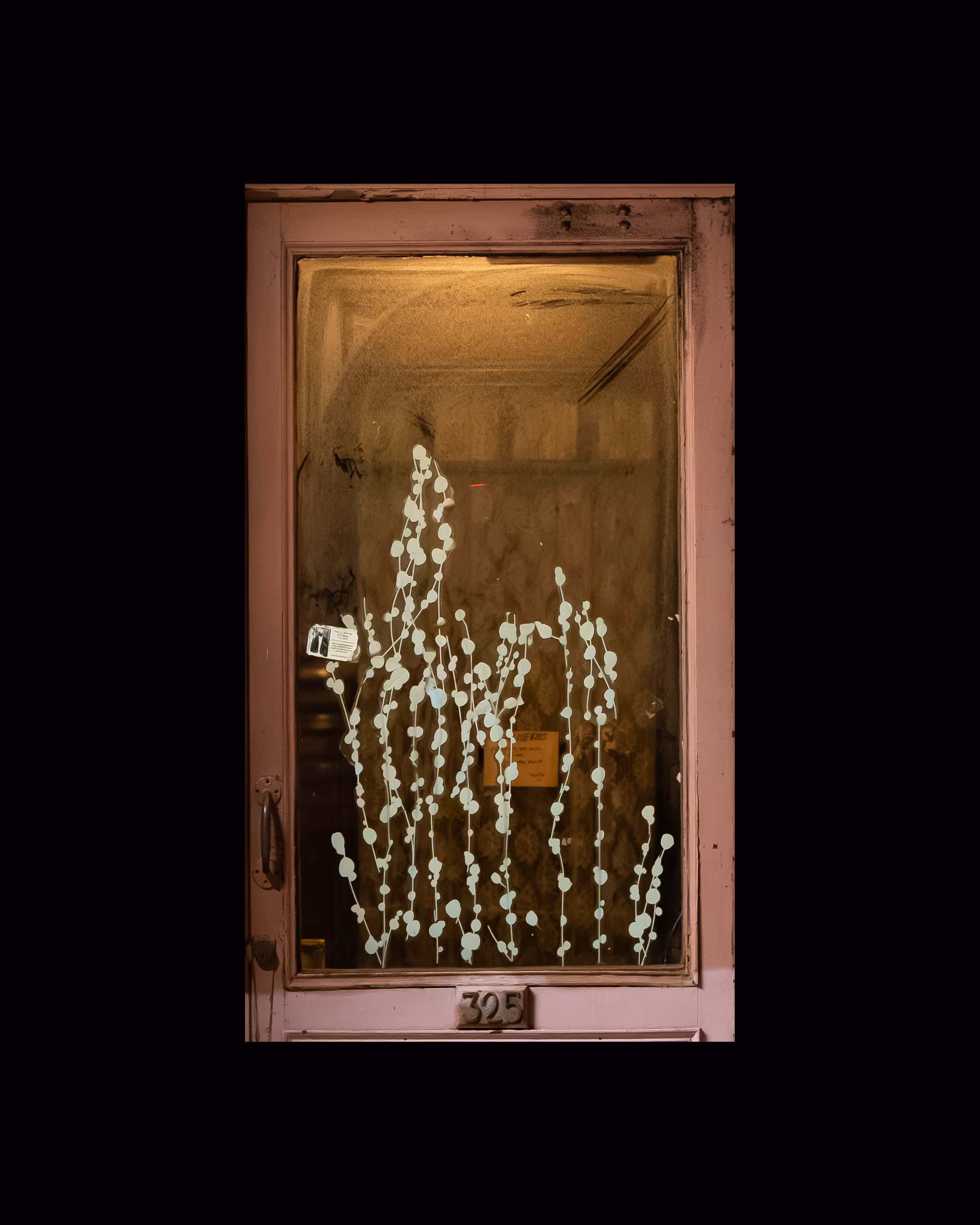 WINDOW 365