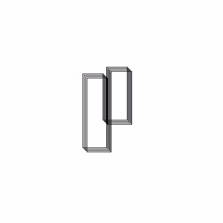 Wire frame #41