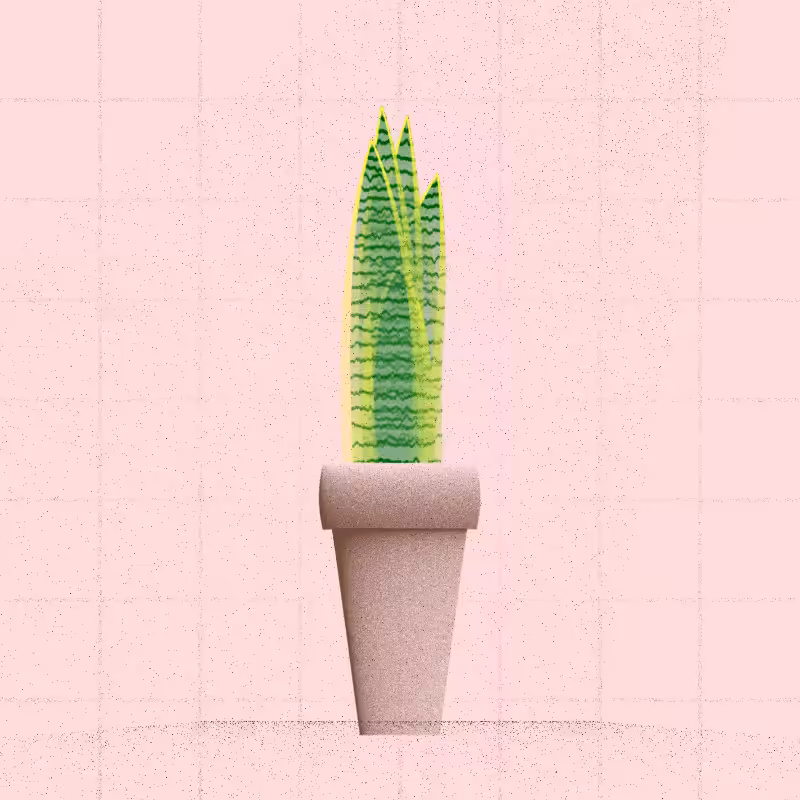 🌱 Potted & Printed #265