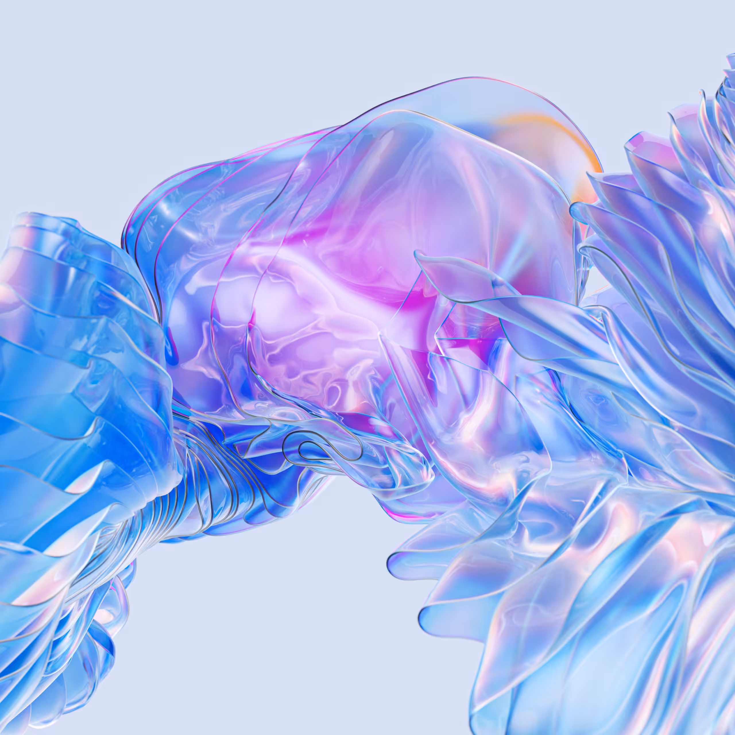 Experiment Discover: Raia.