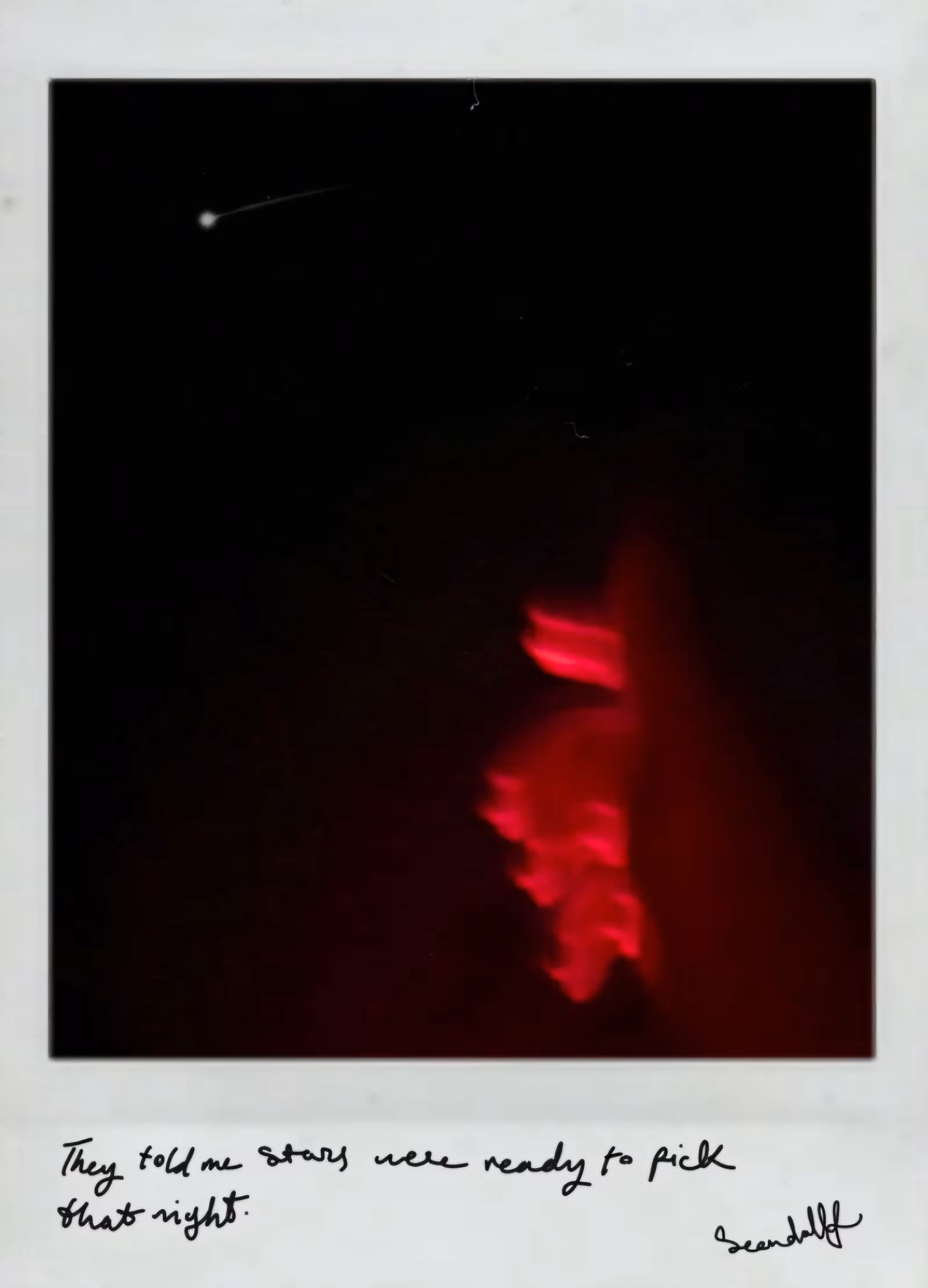 They told me stars were ready to pick that night