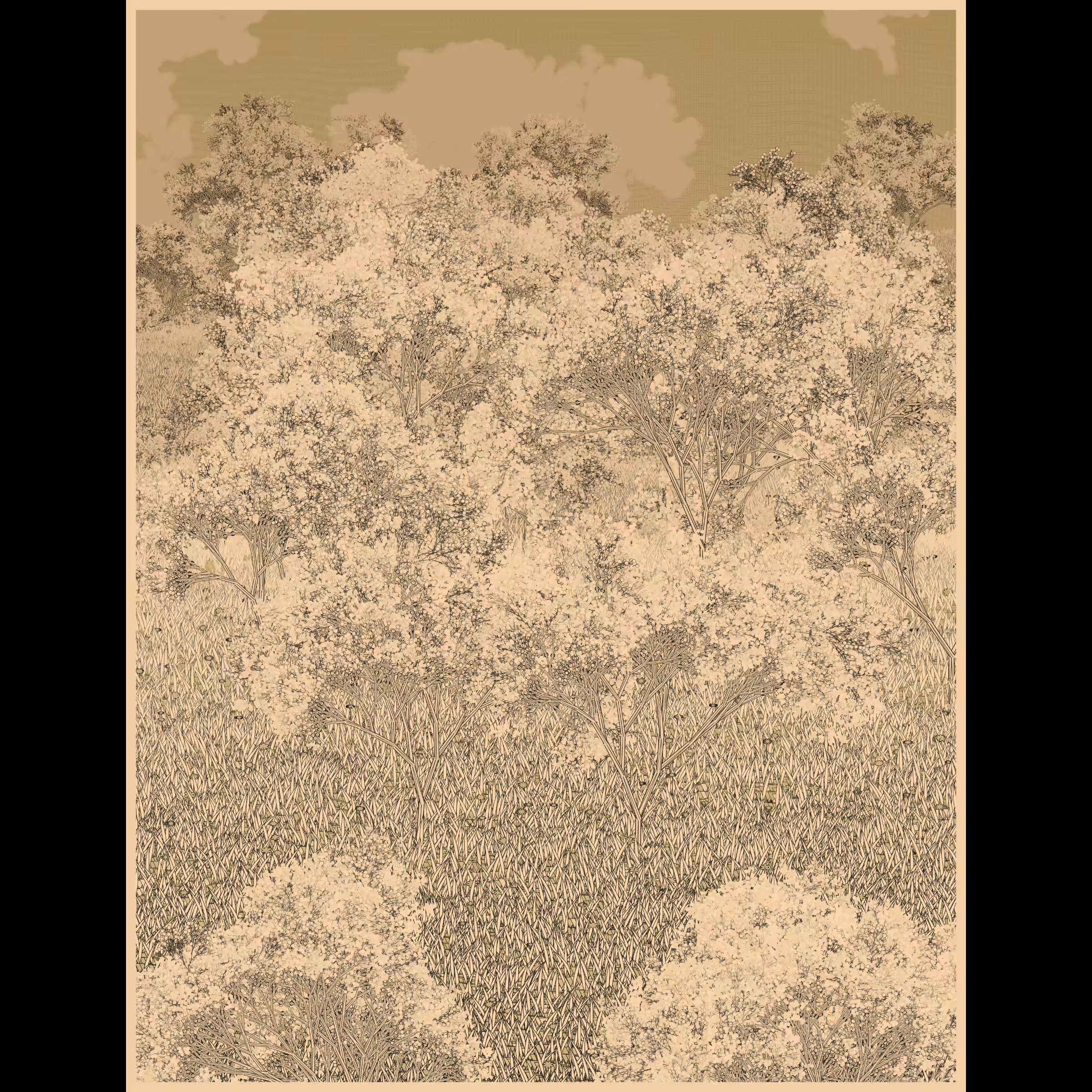 Natural order.chaos #143