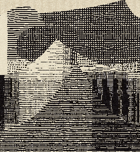 The Flood & The Whale #46