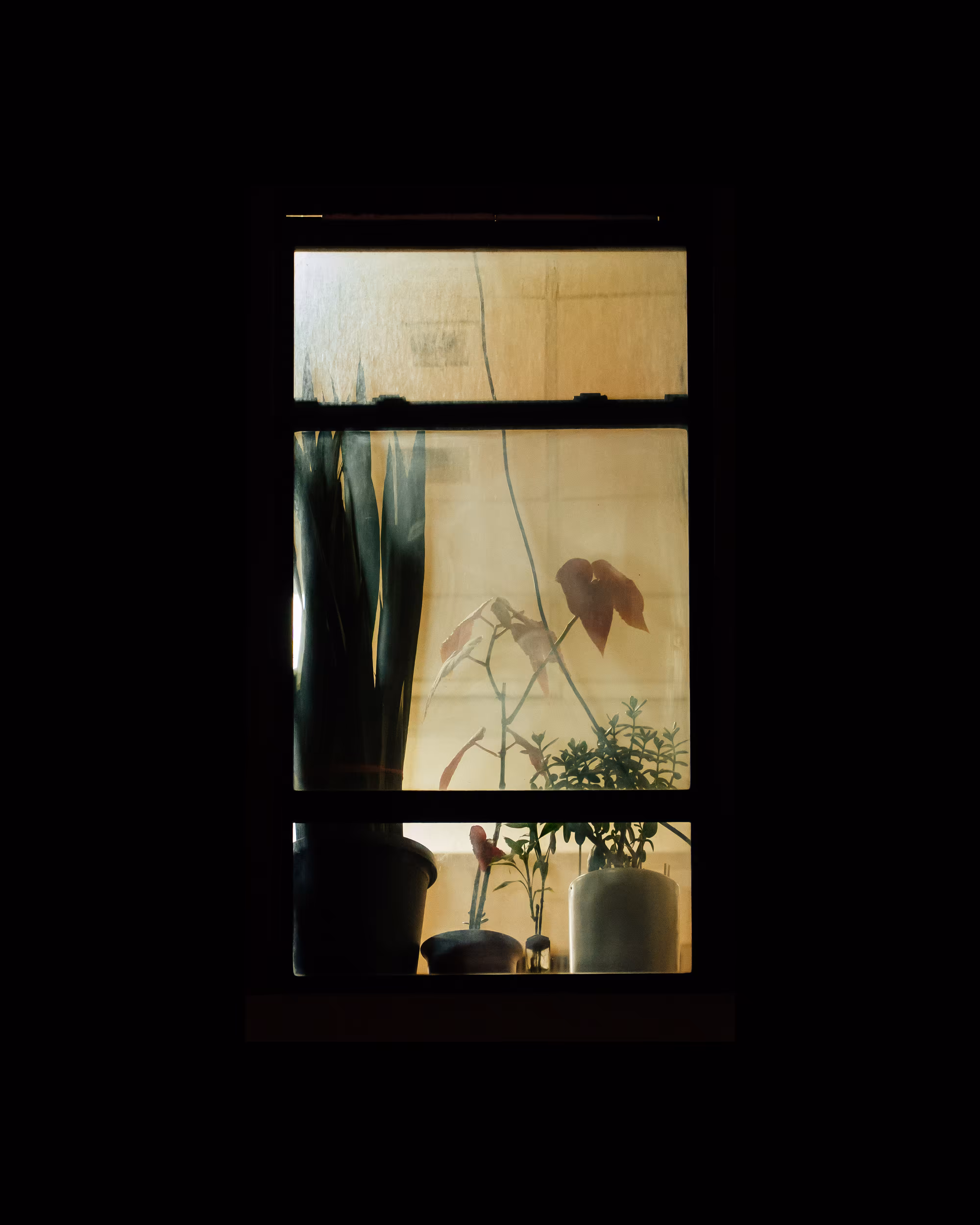 WINDOWS // NYC: WINDOW 811