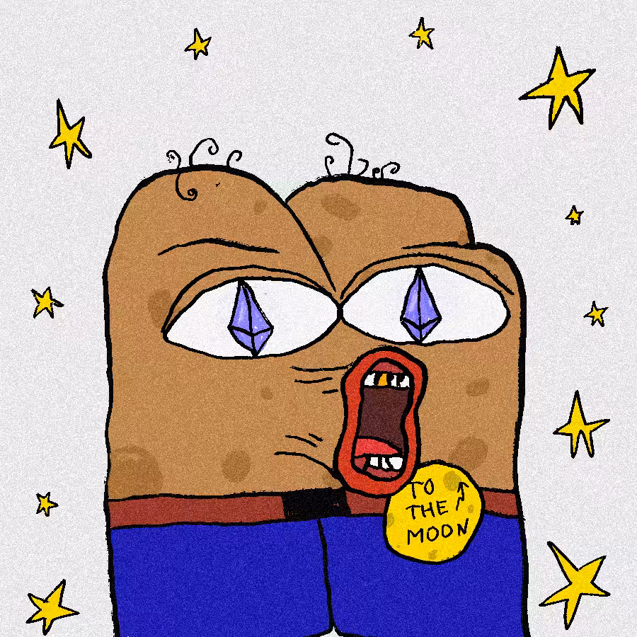 SPENGE #528