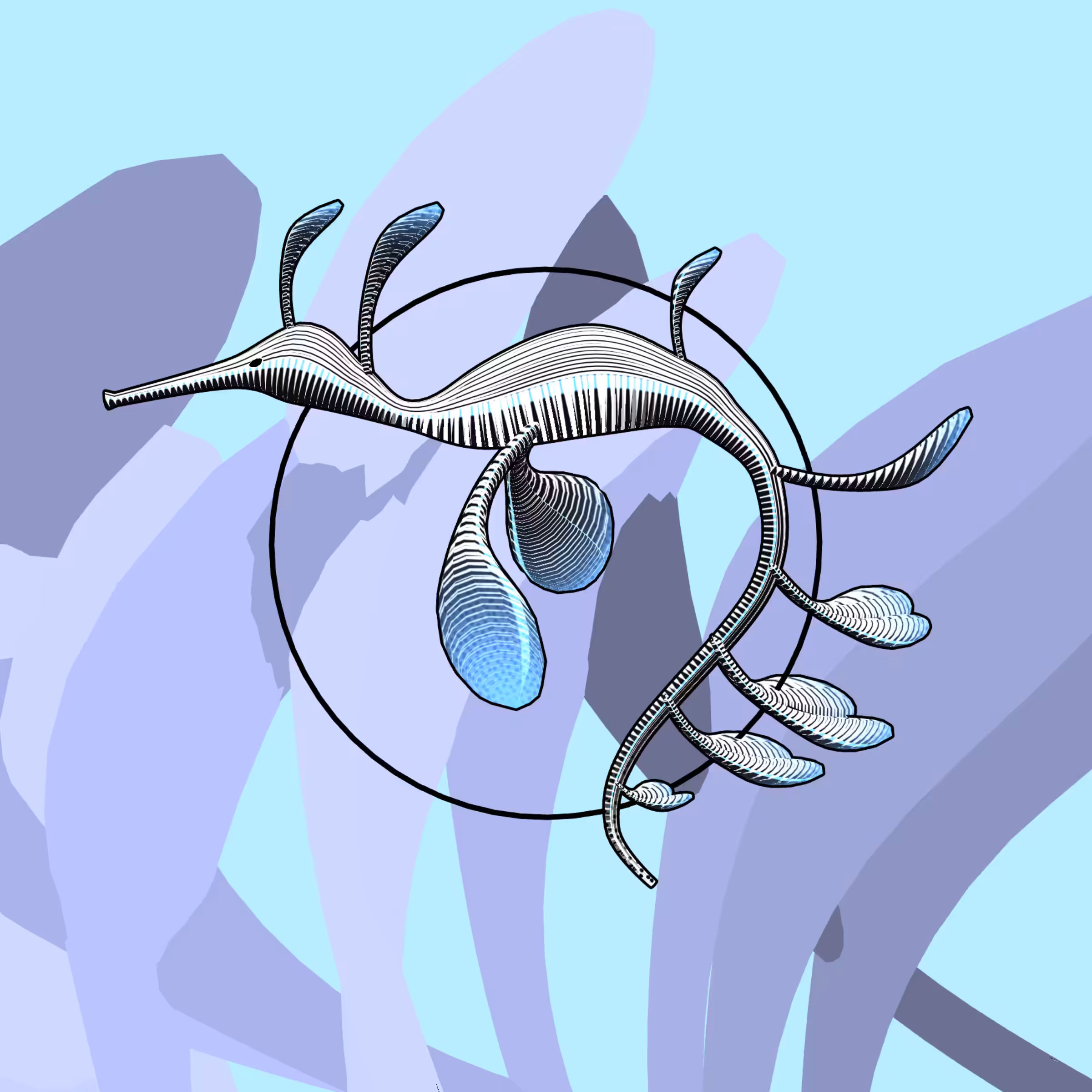 Seadragons #78