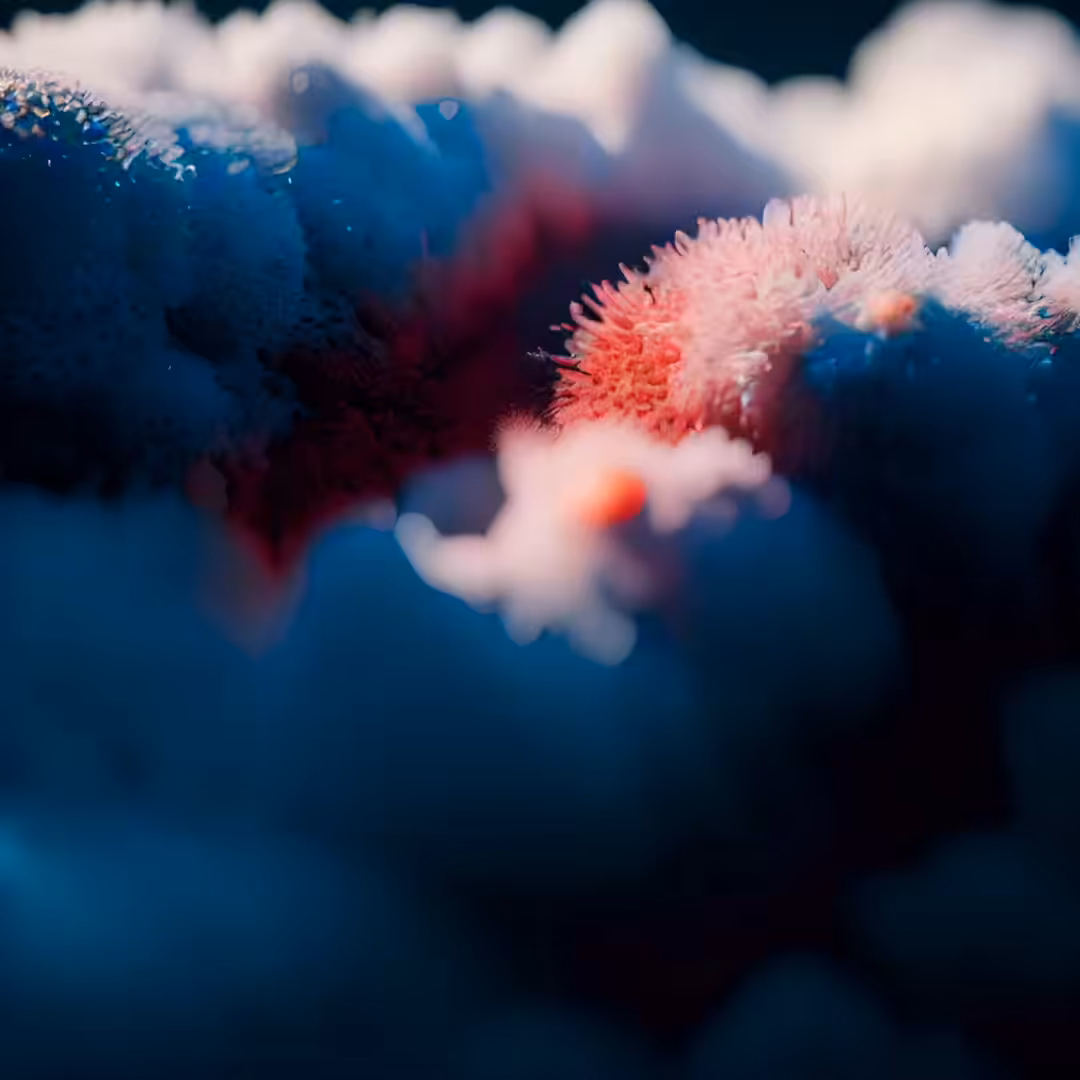 Agoria {Bohem-IA} #2