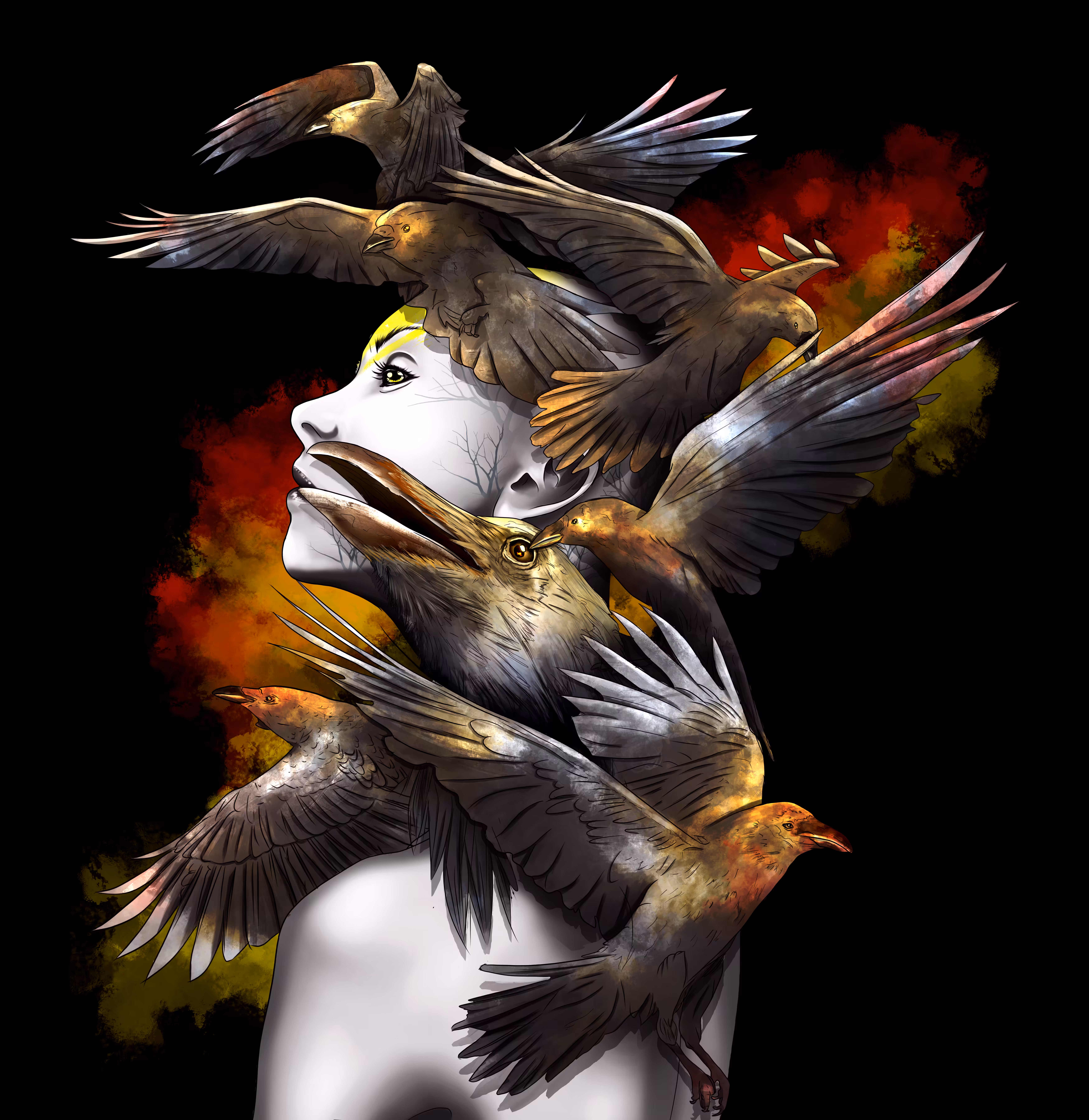 Crows