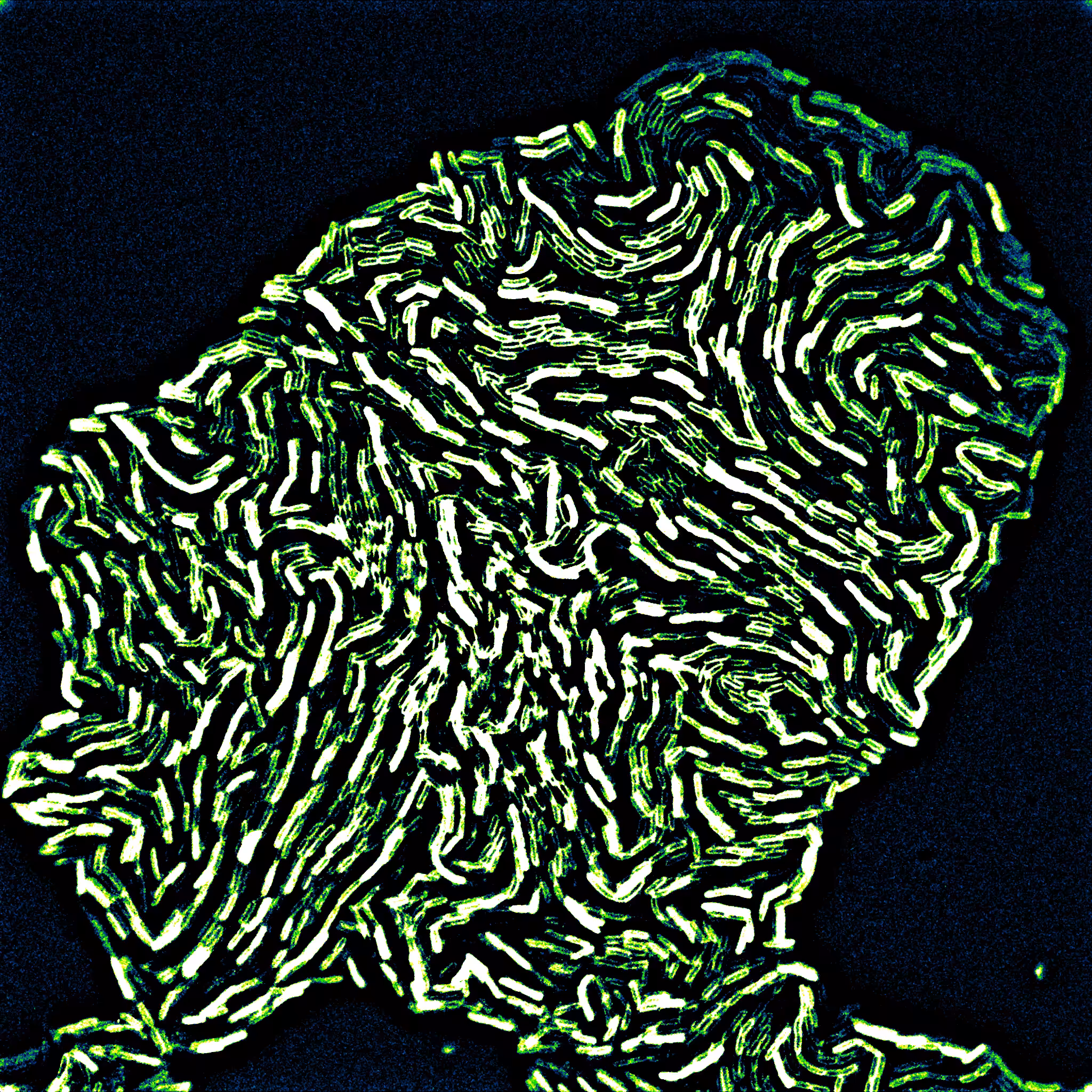 This is not a Van Gogh #5