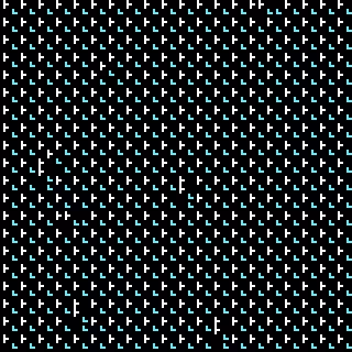 CGA Safari #240