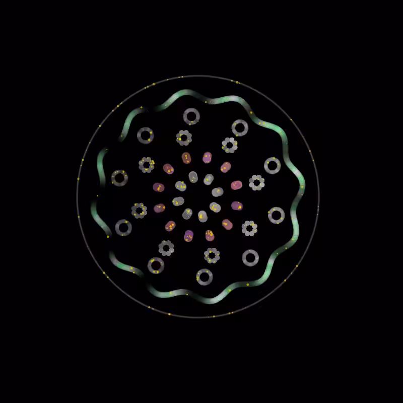 Fluidynamix - Rings #6