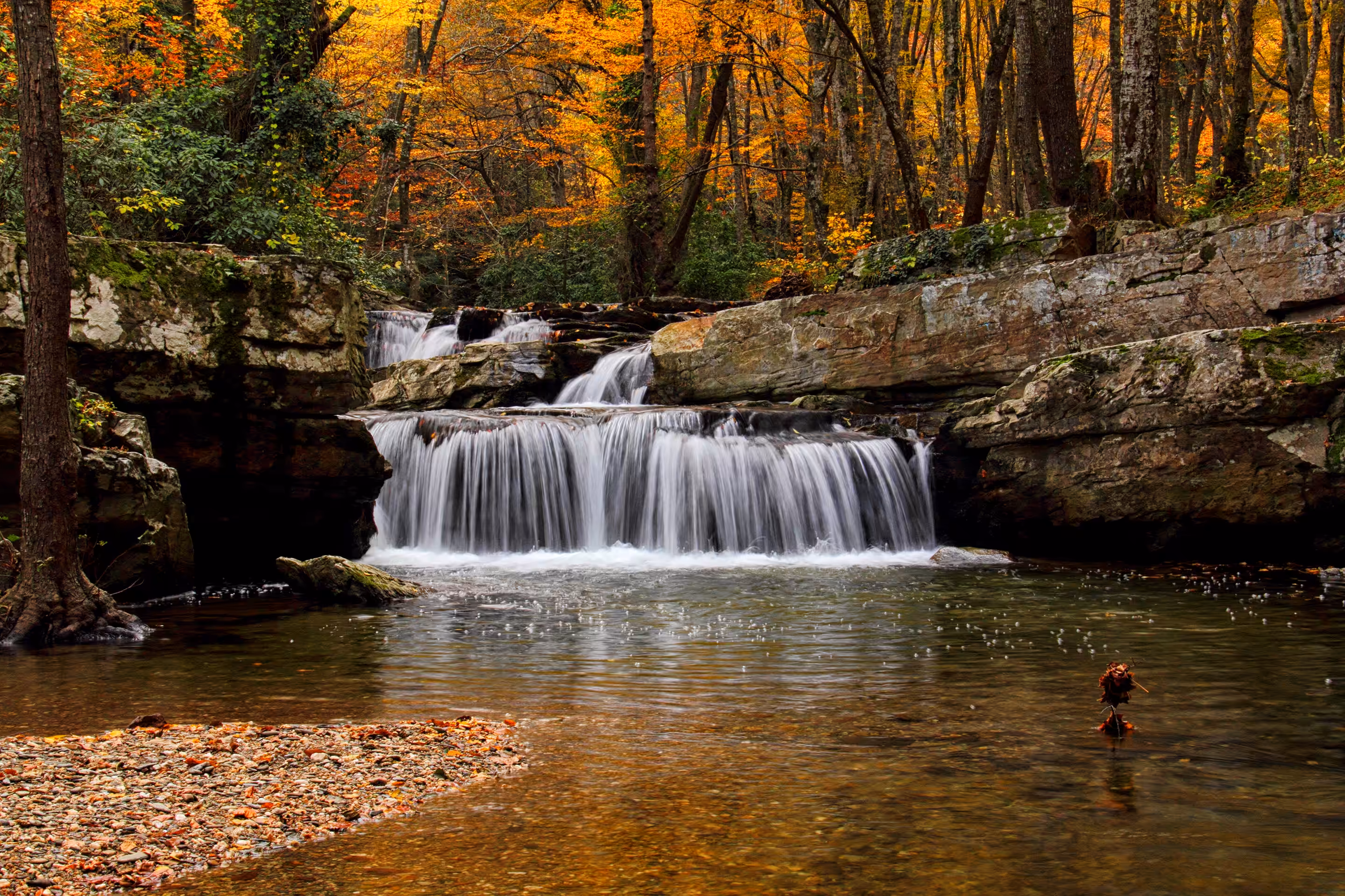  Autumn