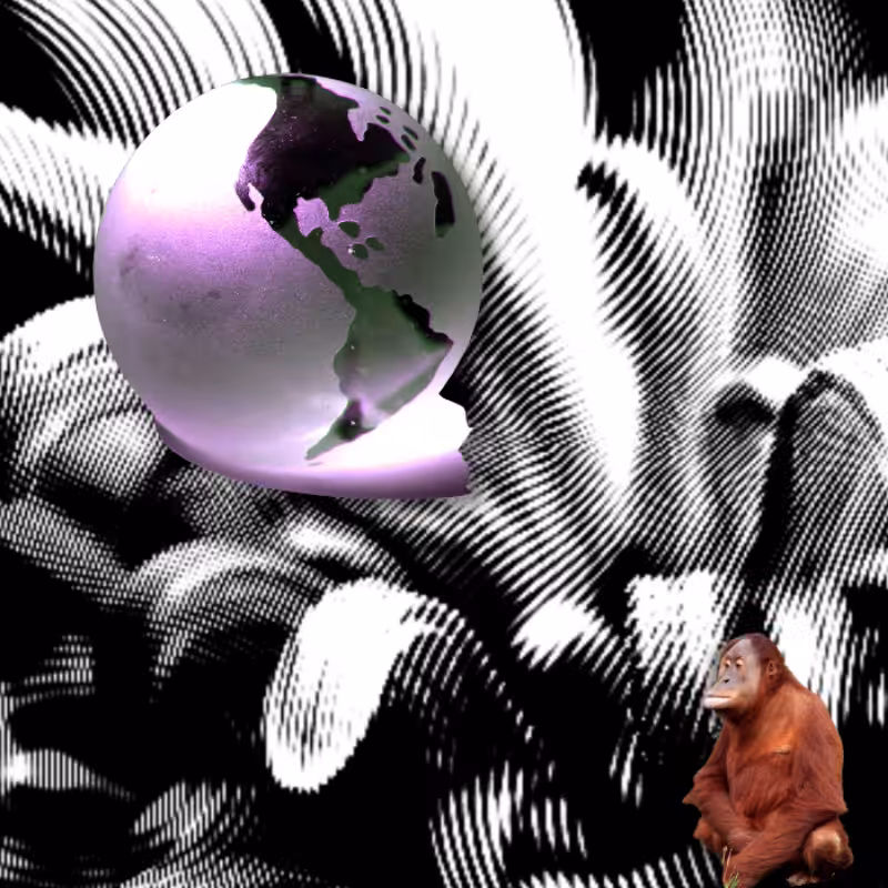 MoonKey #16