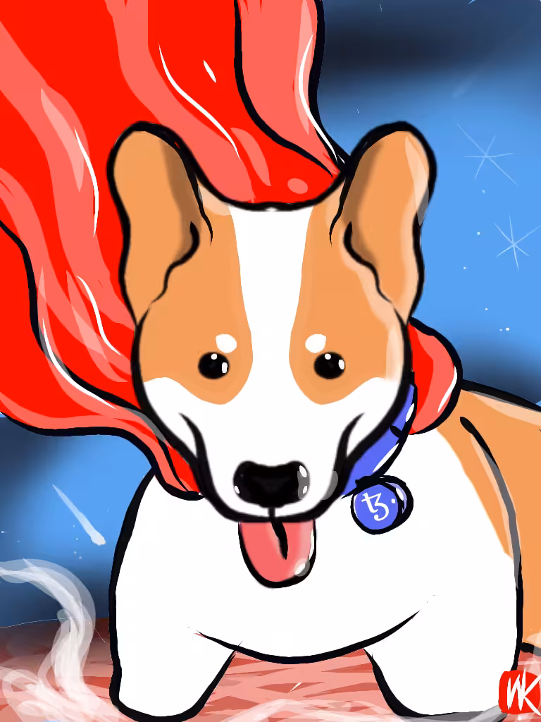 xtz space corgi
