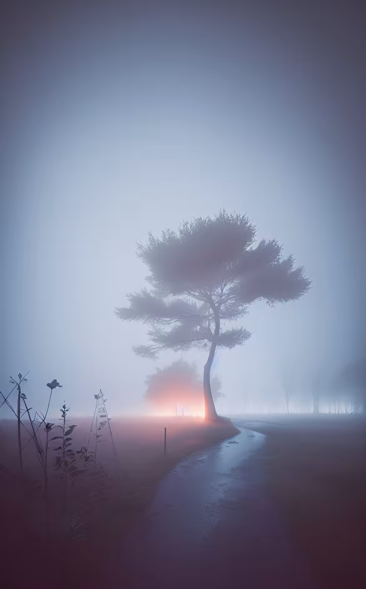Foggy landscape 