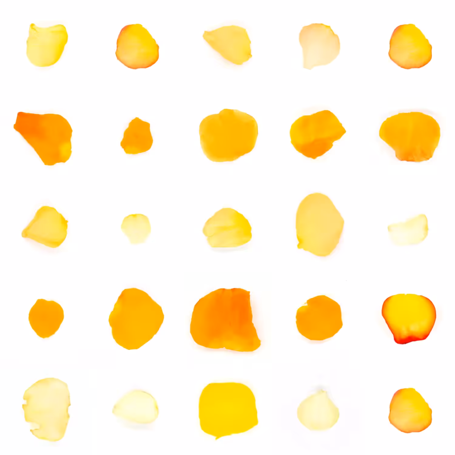 Infinite Petals 5x5#2638