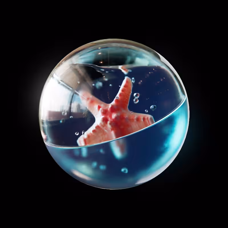 Blue Starfish Ball