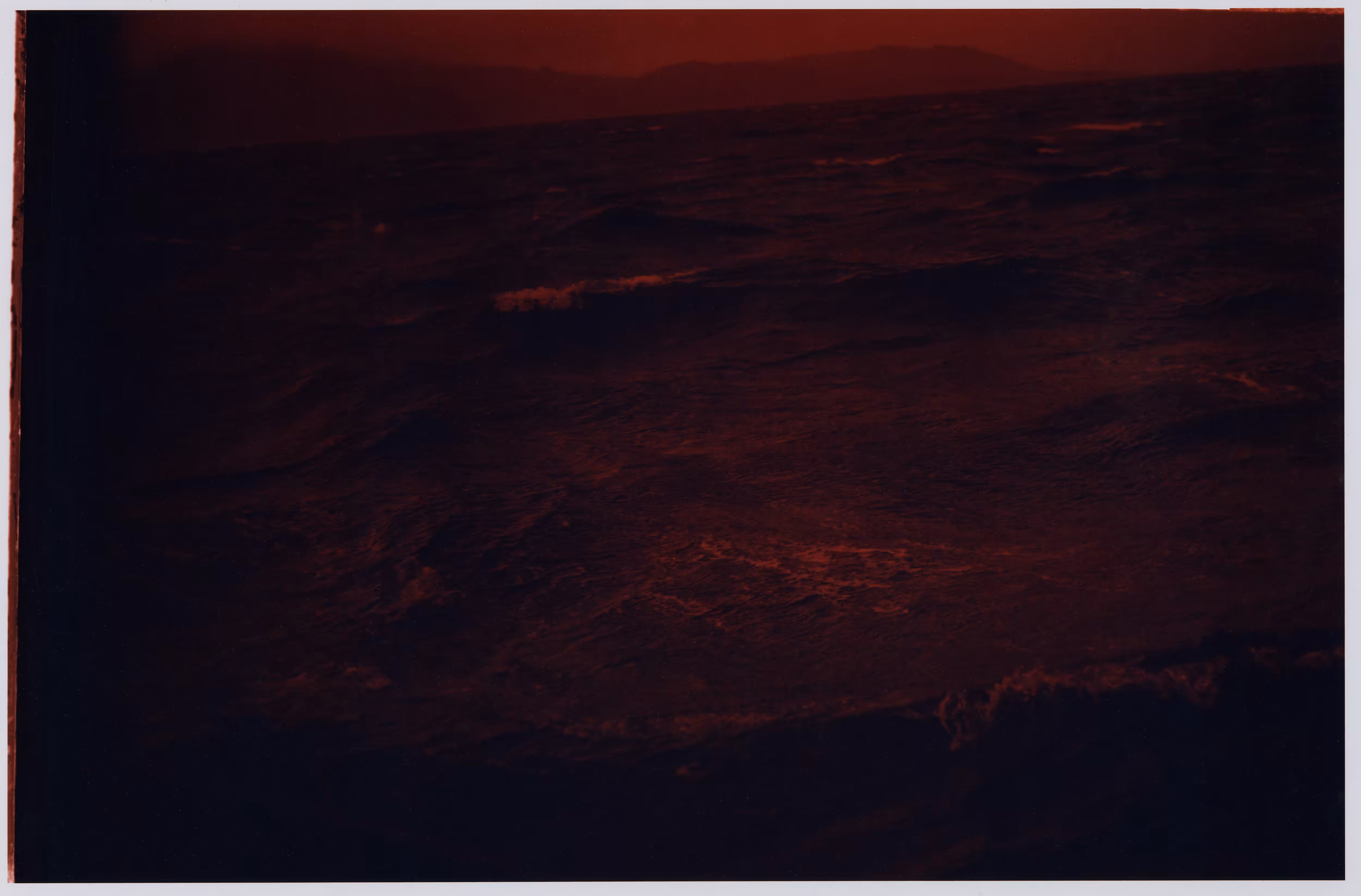 red tide