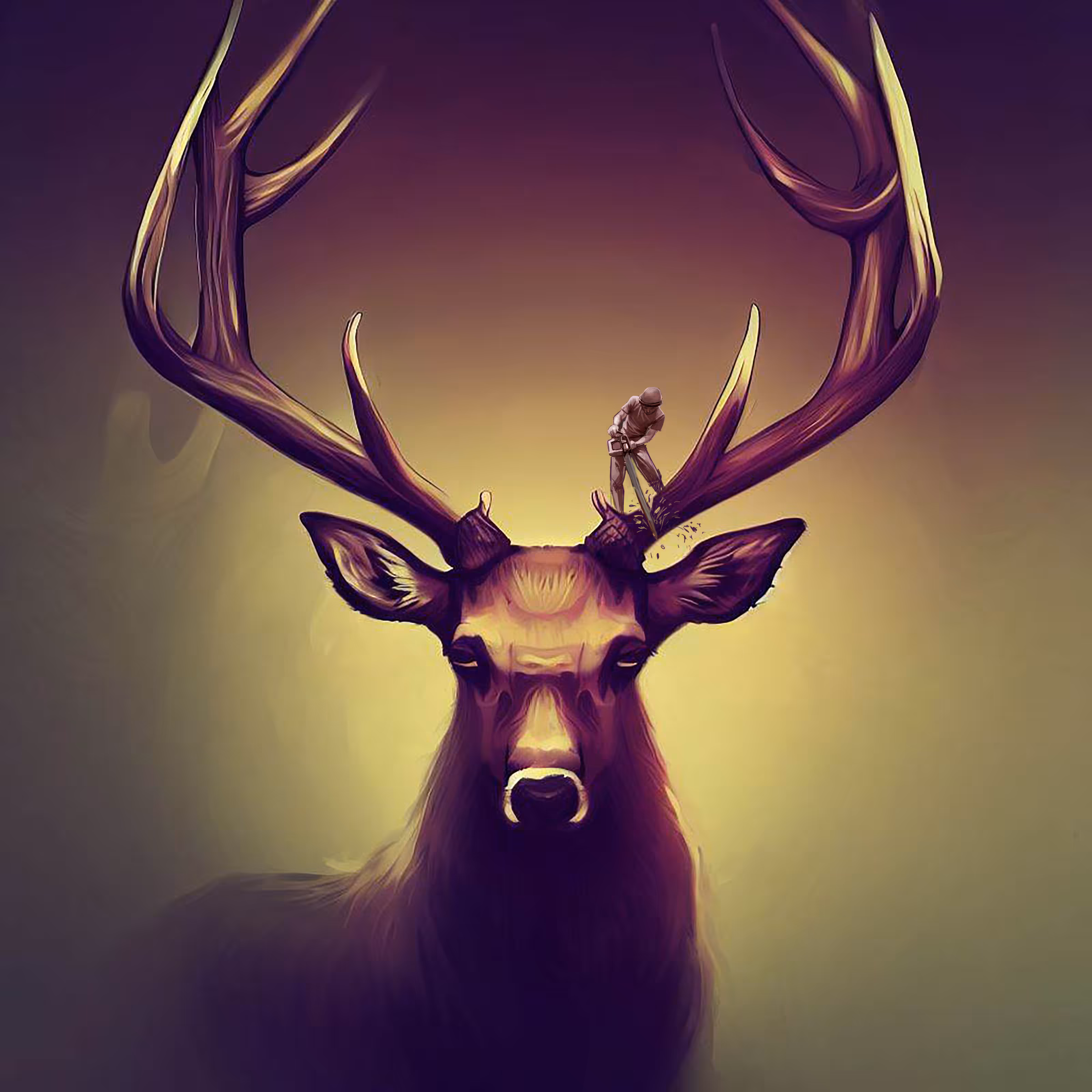 deer