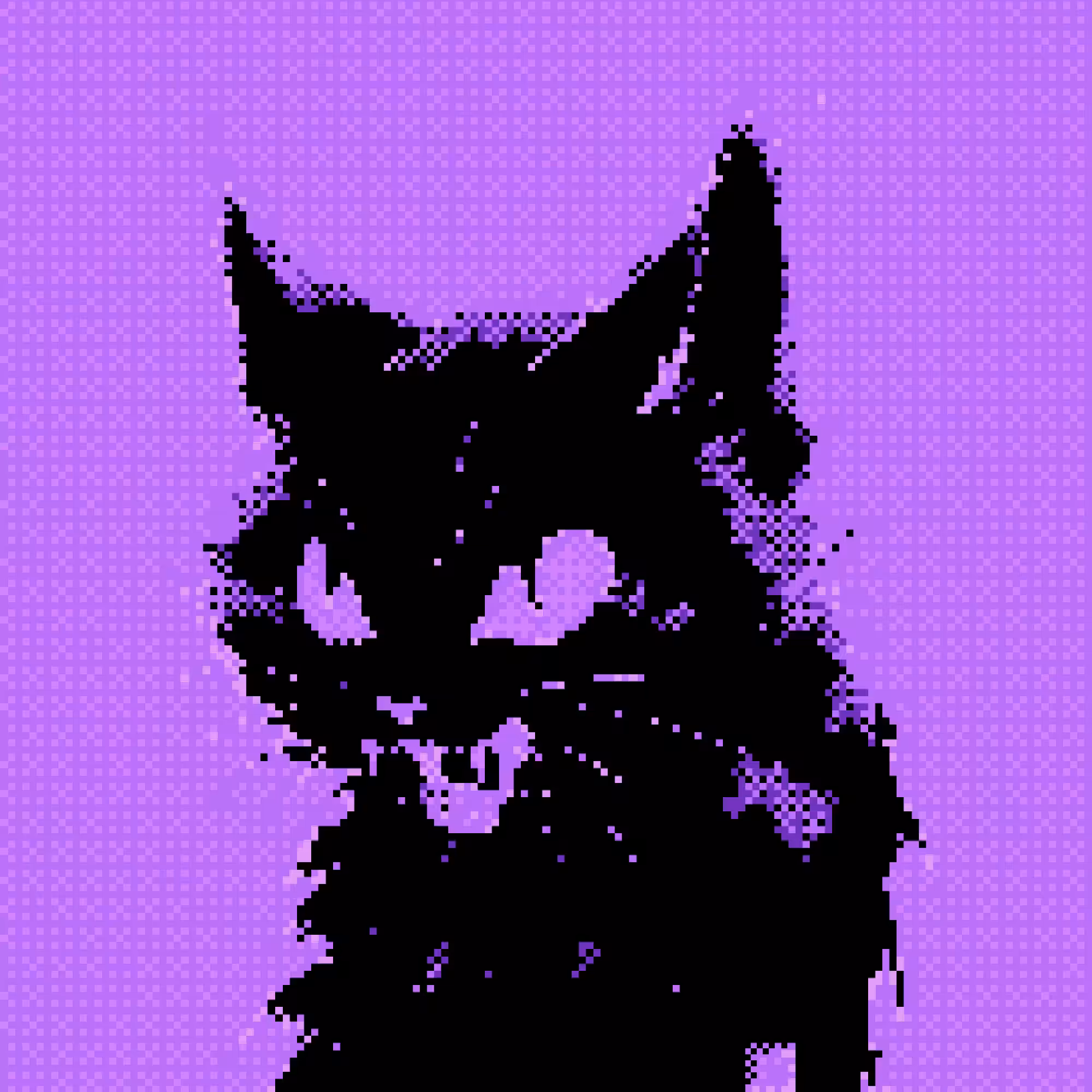 Meow_1