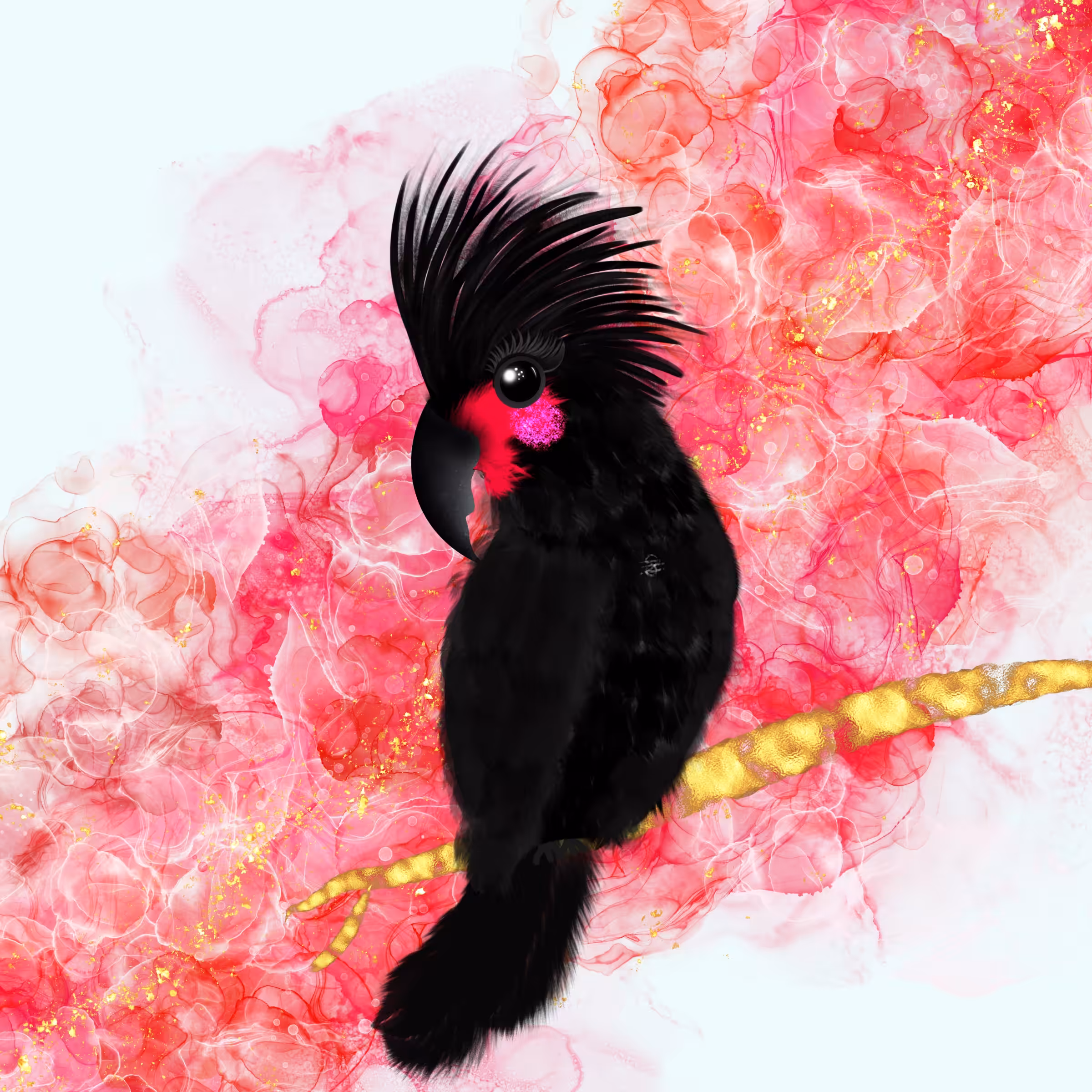 Palm Cockatoo