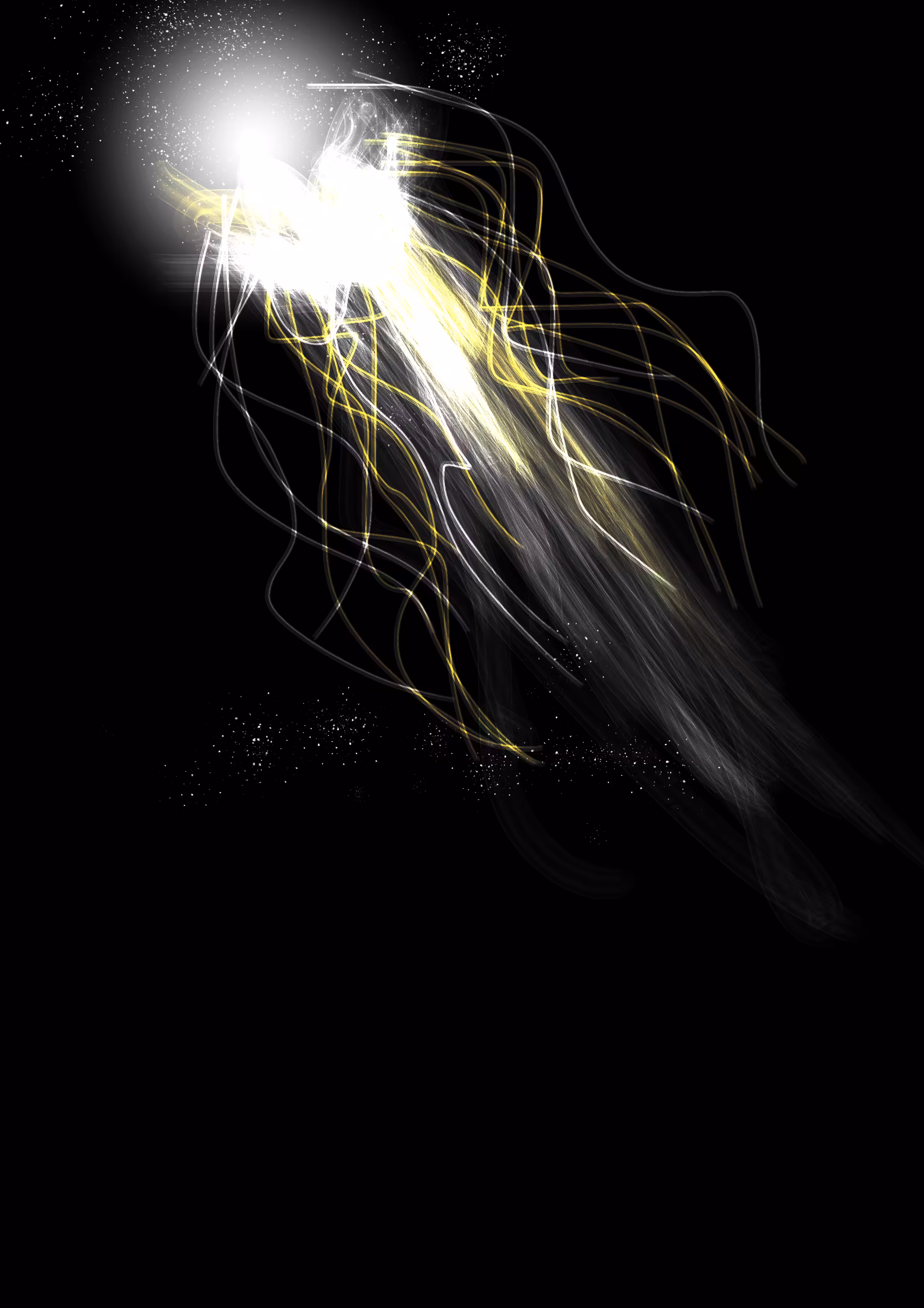 jellyfish 