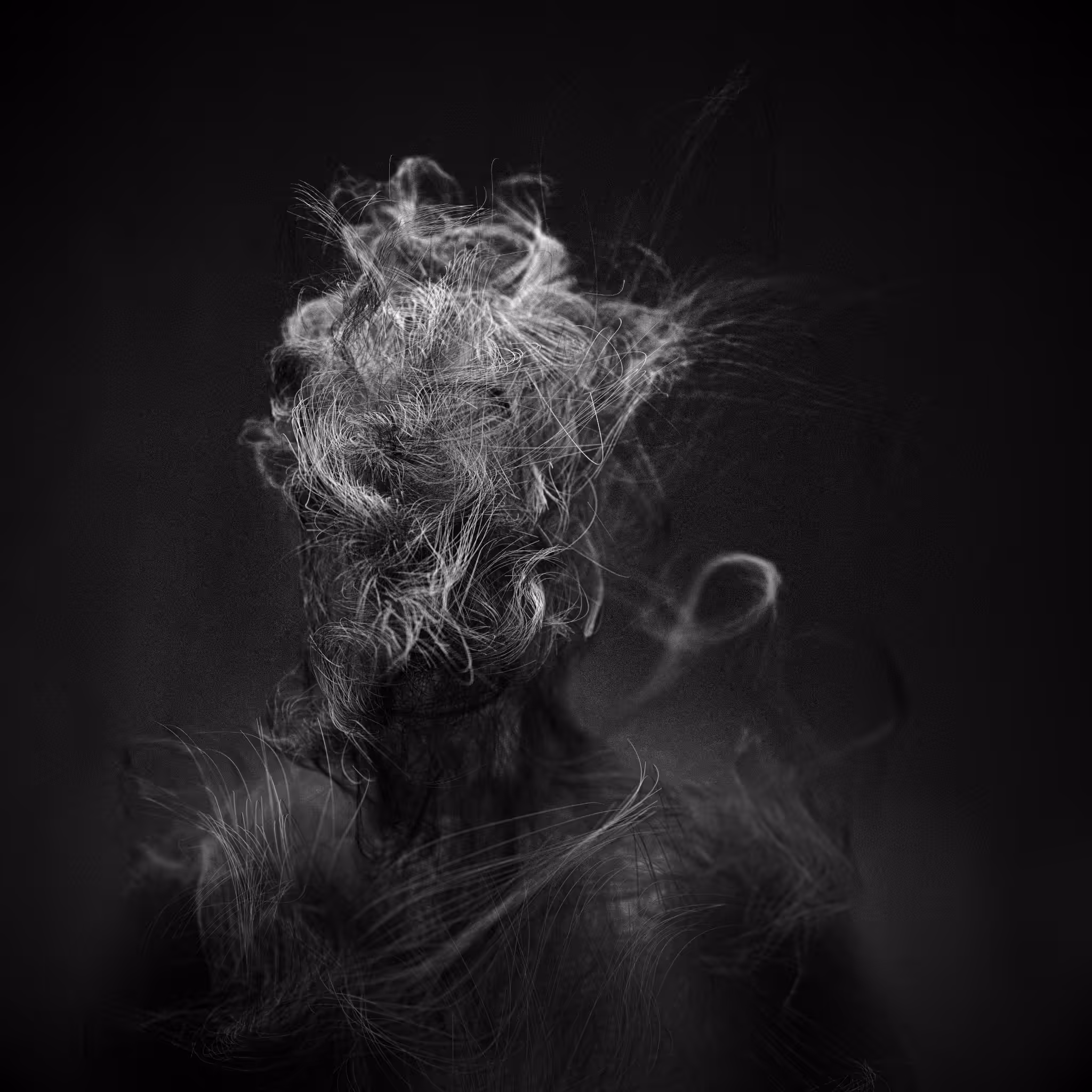 The Figure