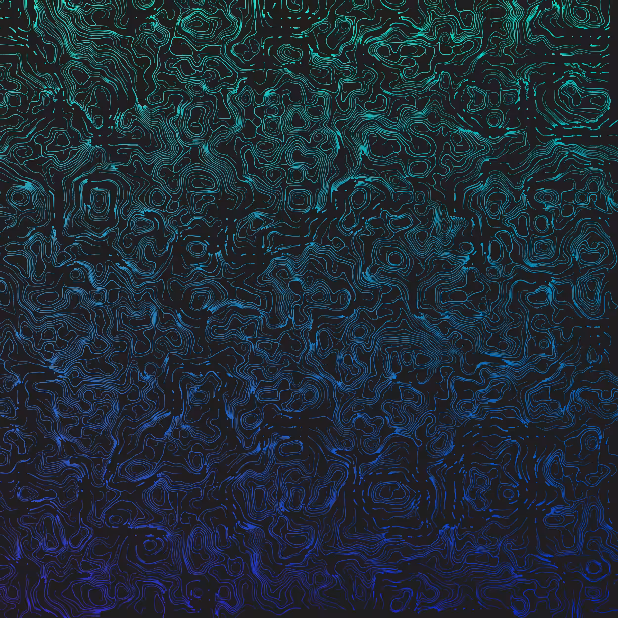 Topographic Lines #3