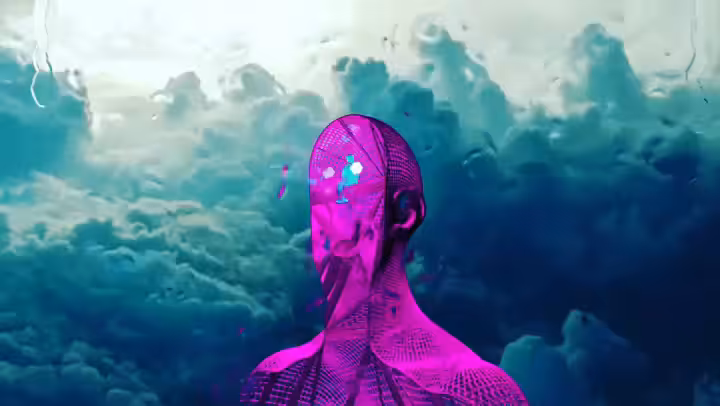 Lost in Data Bit