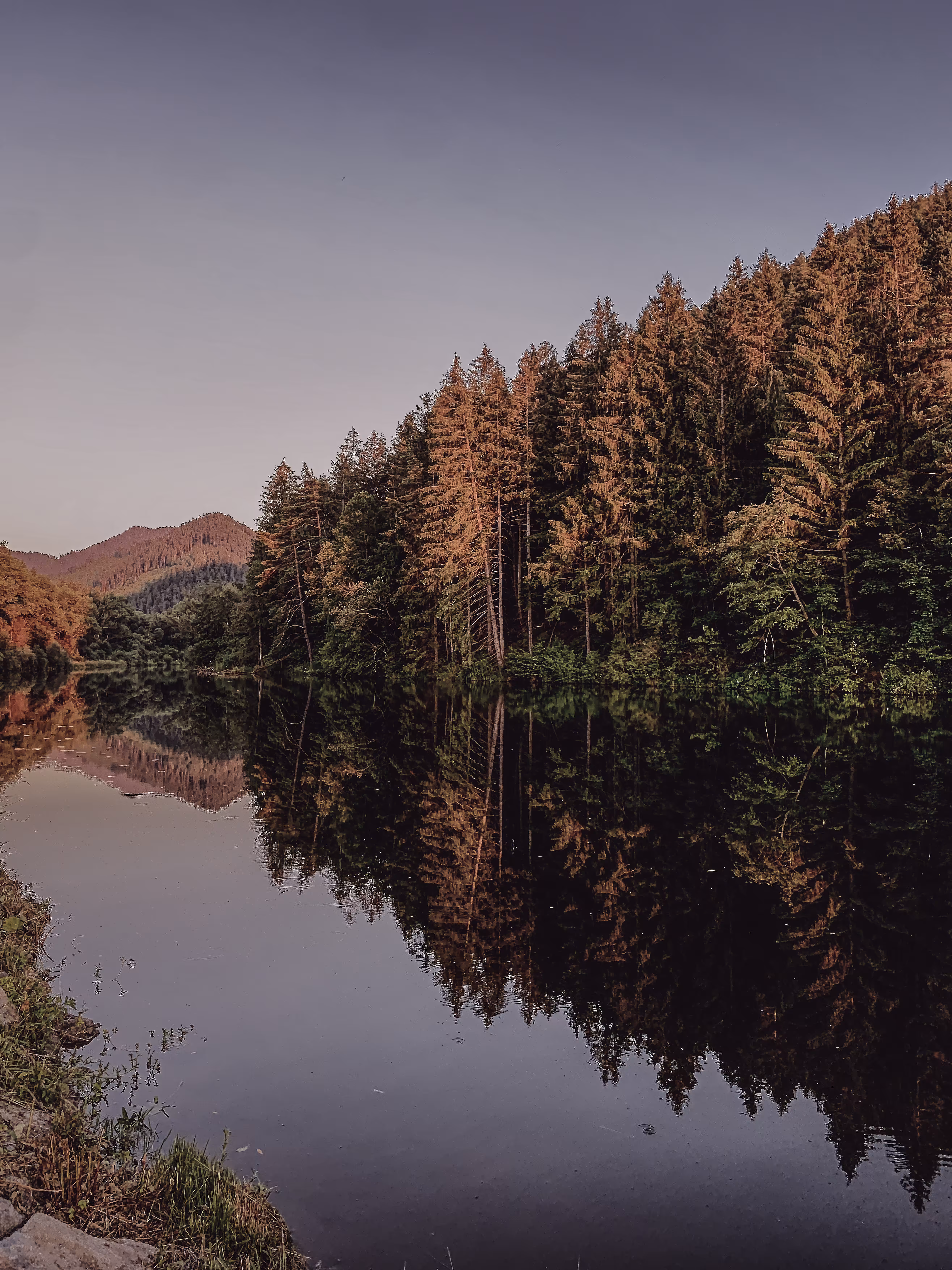 Enchanted summer reflection