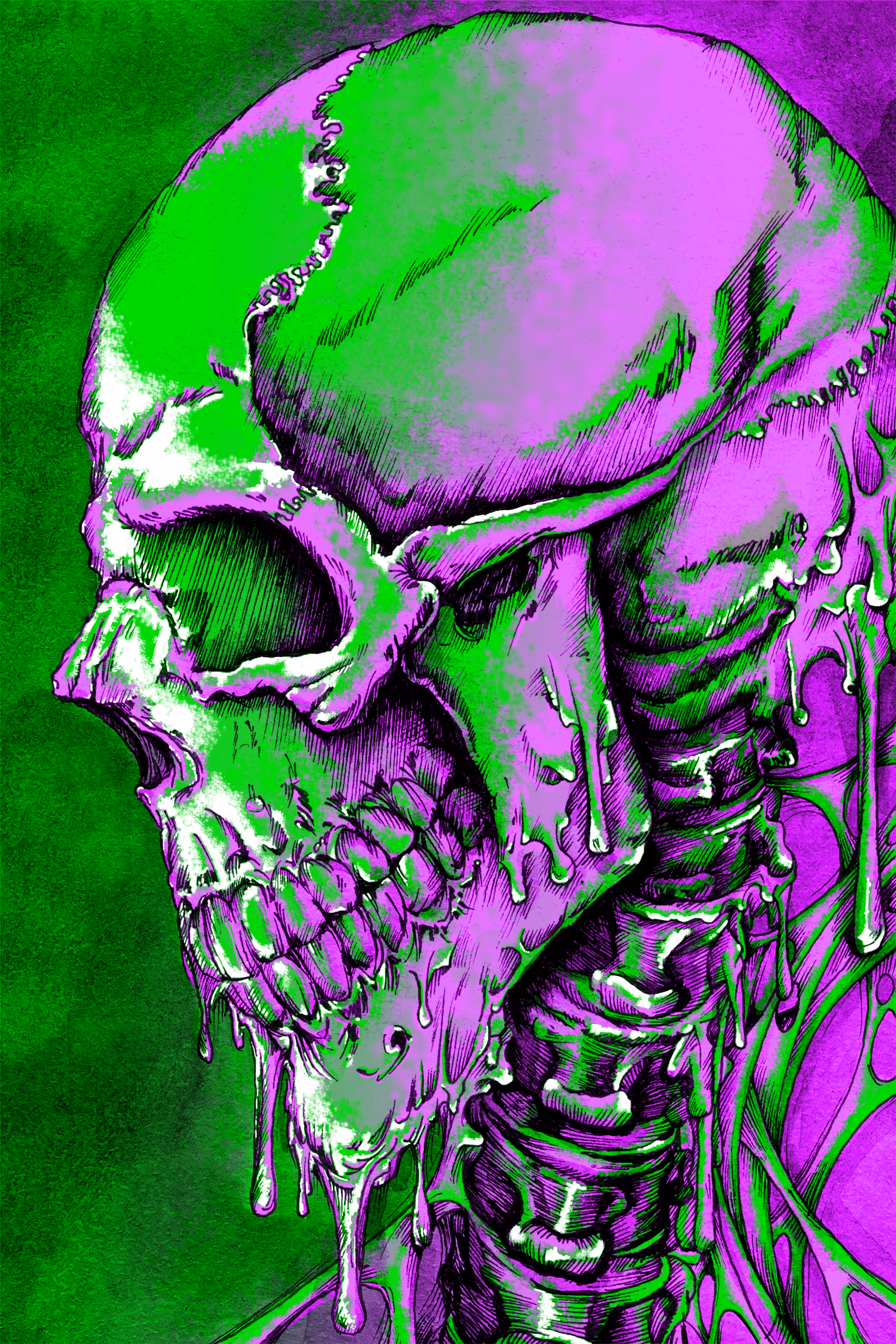SKULL AND FLUIDS