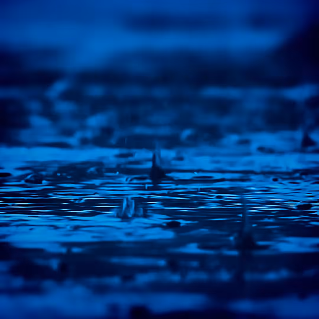 Blue Monday