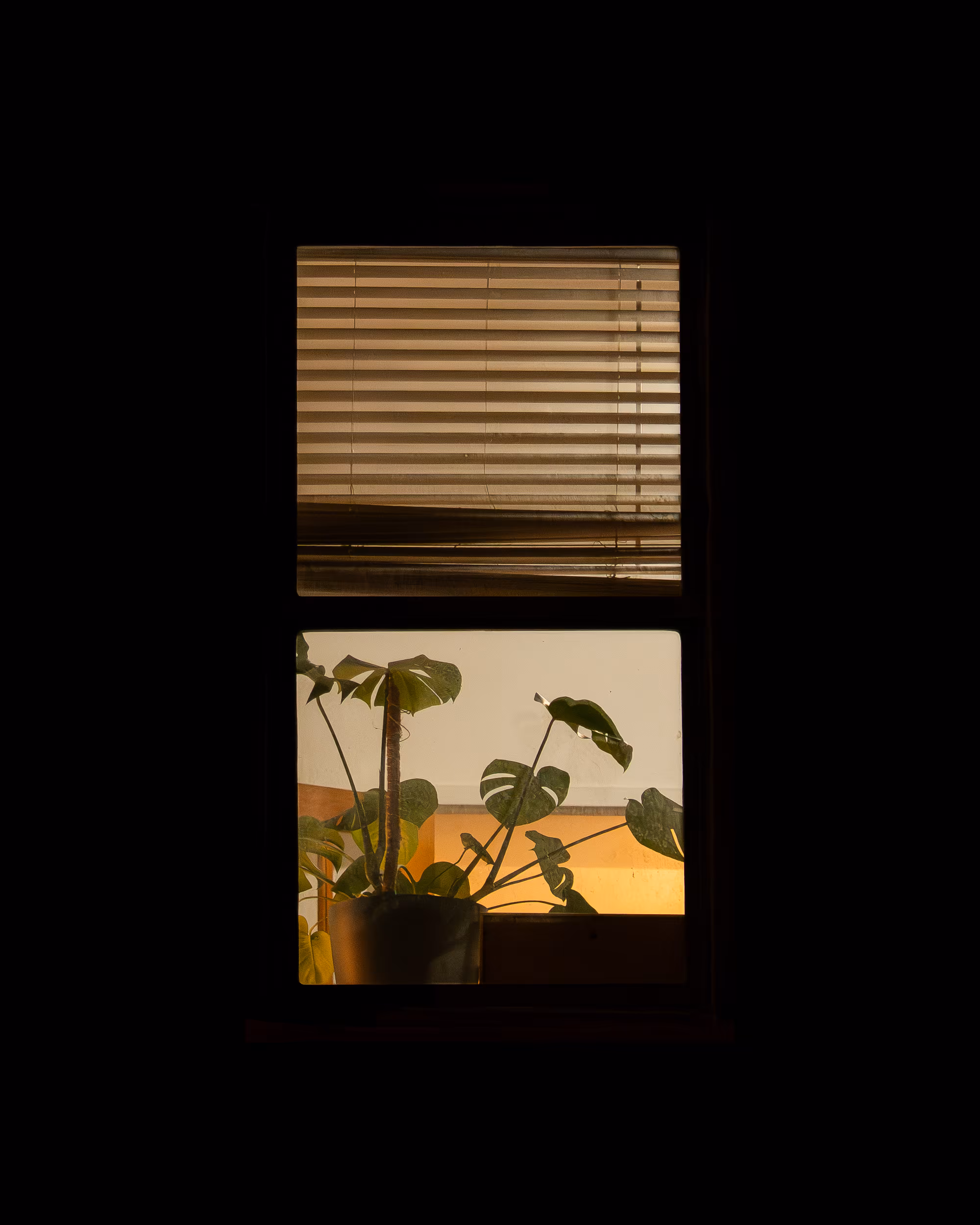 WINDOW 747